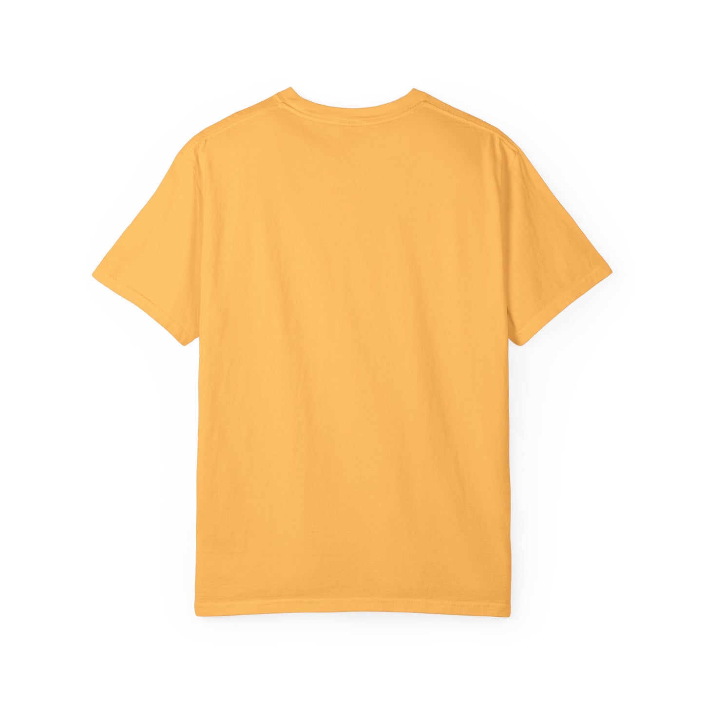 Vaud-Villities Productions Unisex Garment-Dyed T-shirt