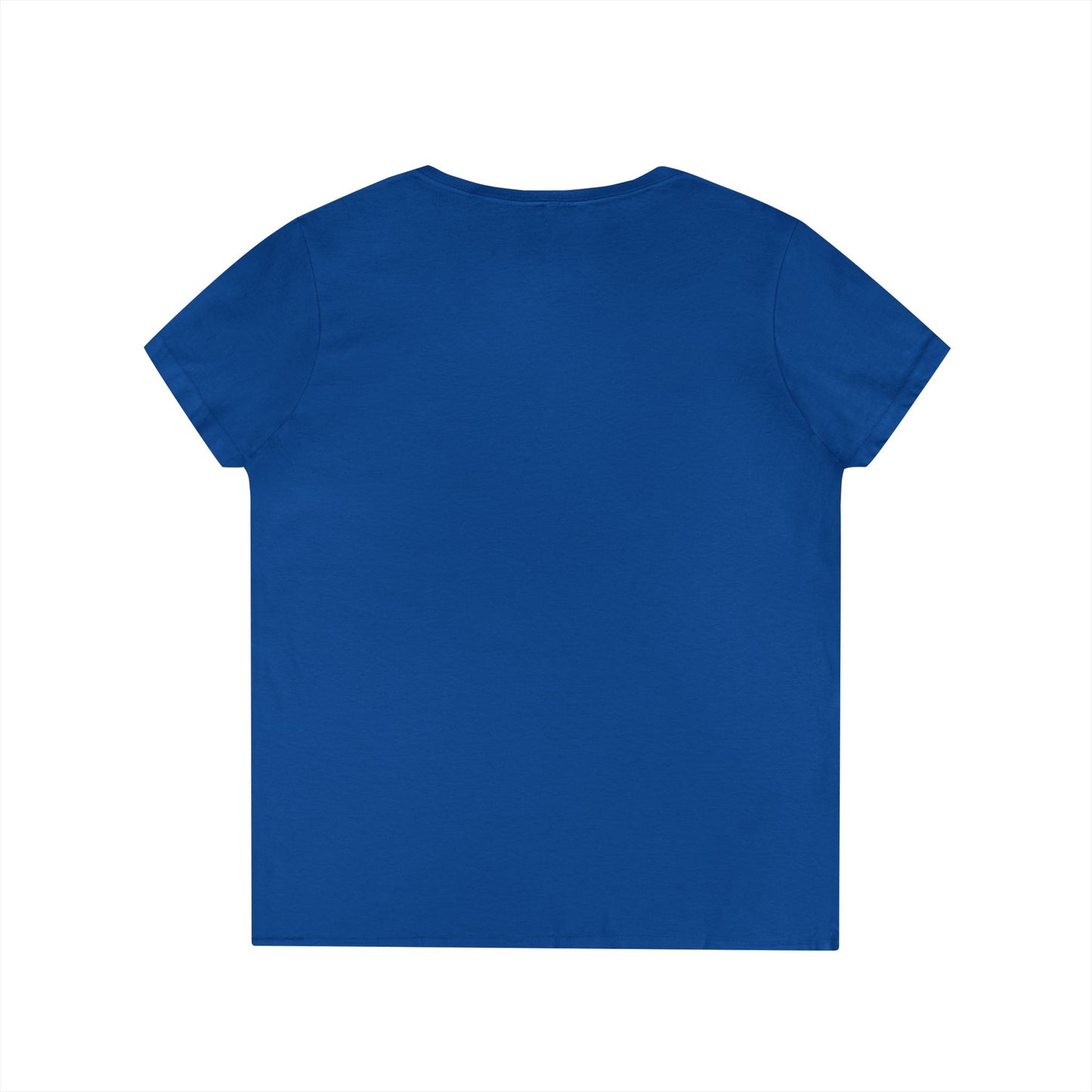 Actionable Financial Literacy Center Ladies' V-Neck T-Shirt