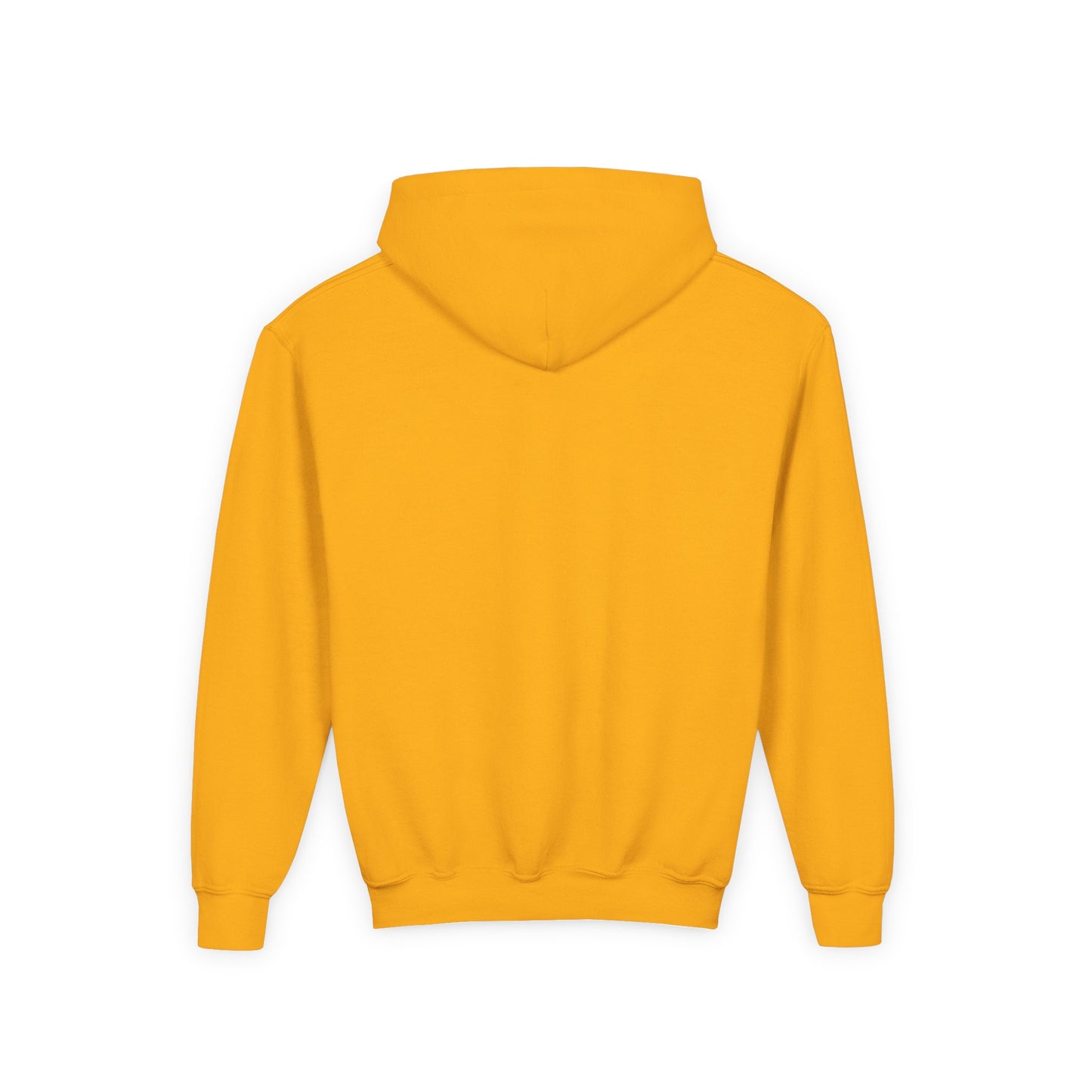 Vaud-Villities Productions Youth Heavy Blend Hooded Sweatshirt