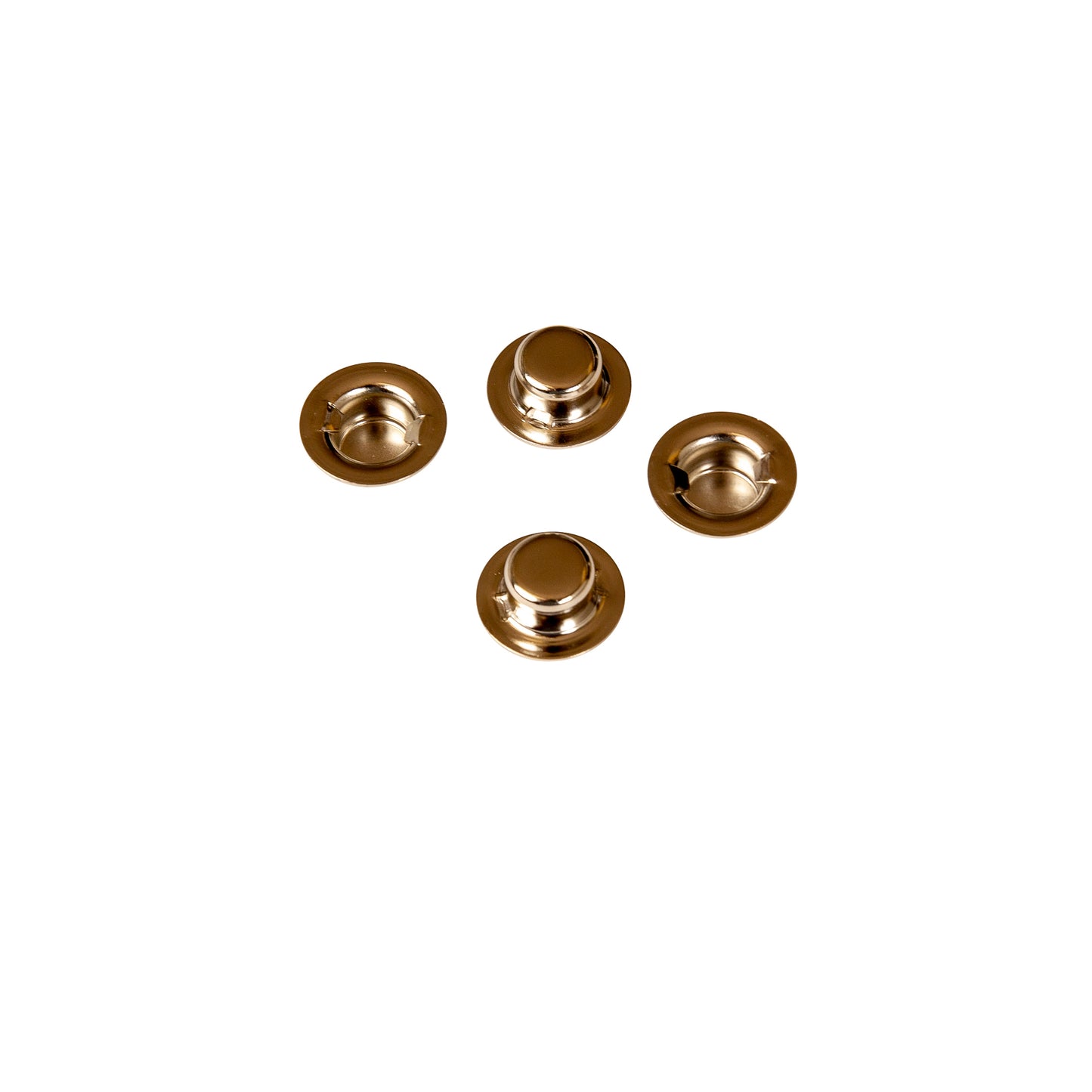 309622246.jpg