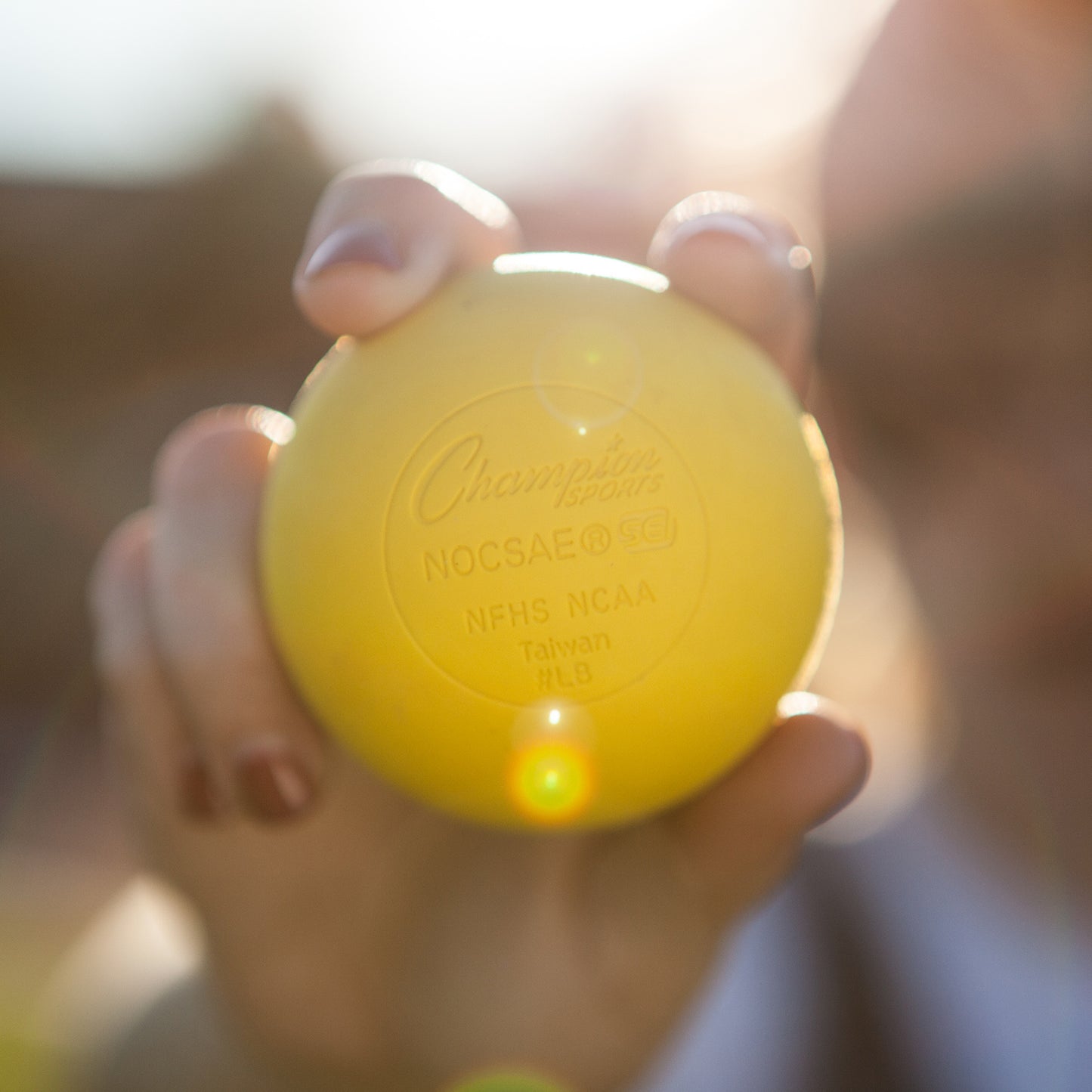 372405354.jpg