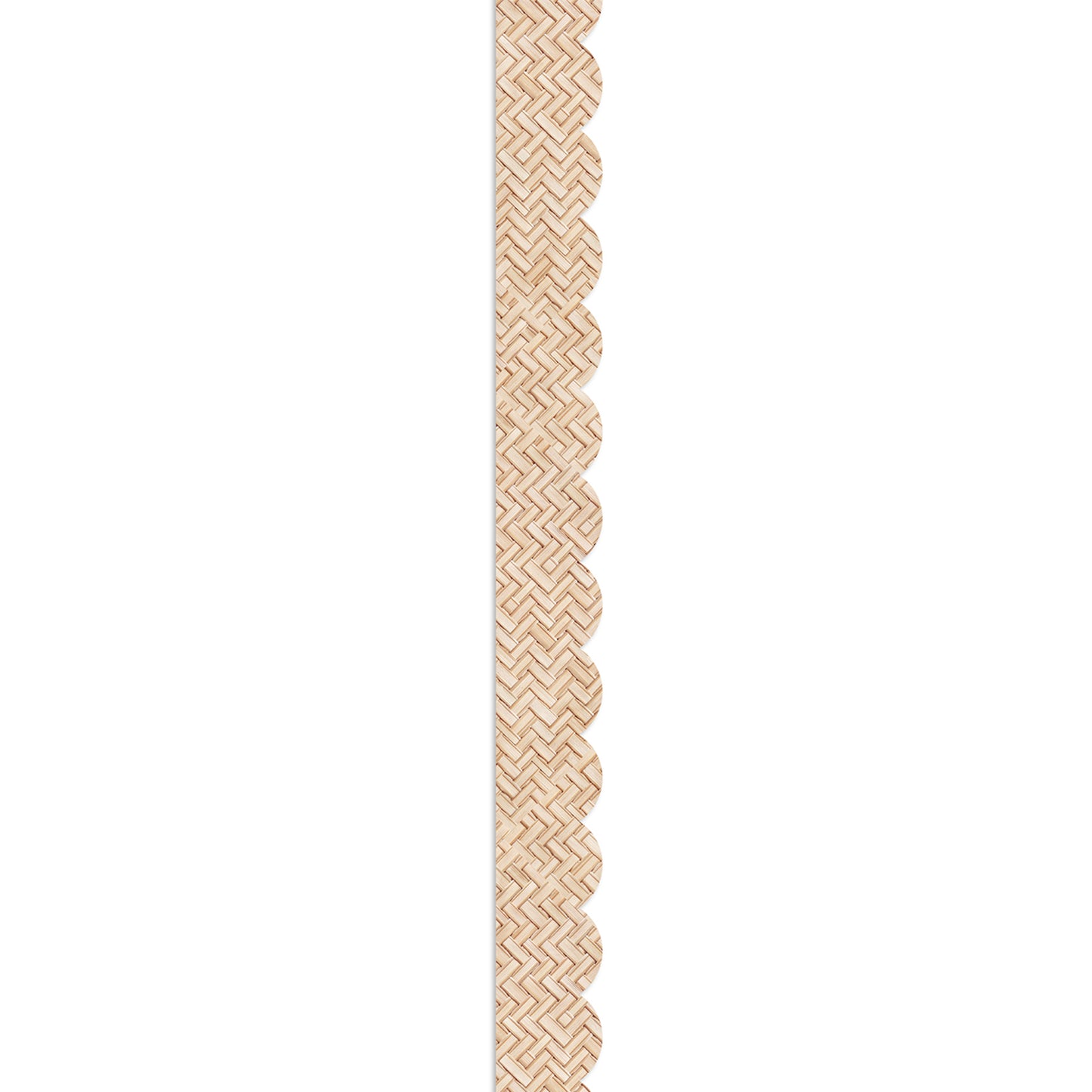 372410399.jpg