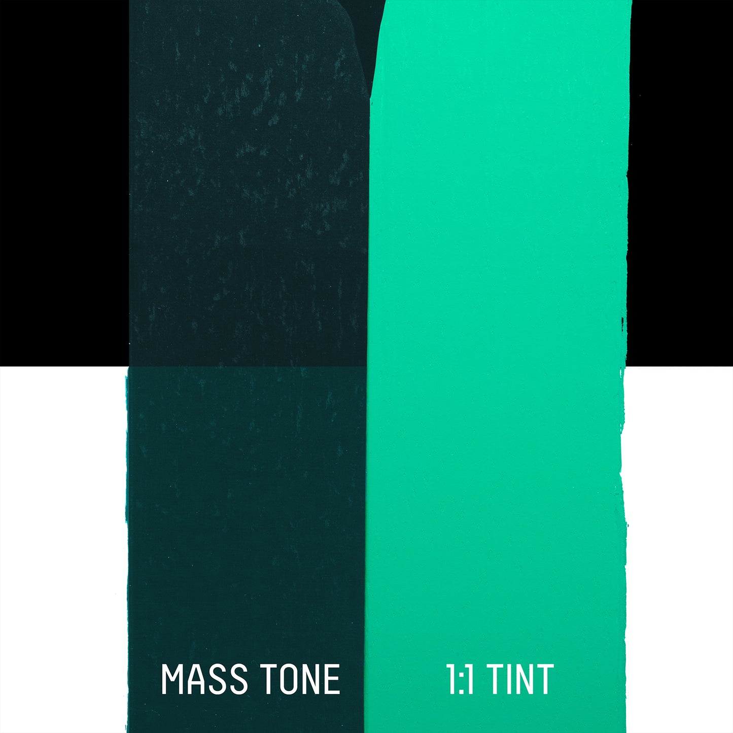 372421330.jpg