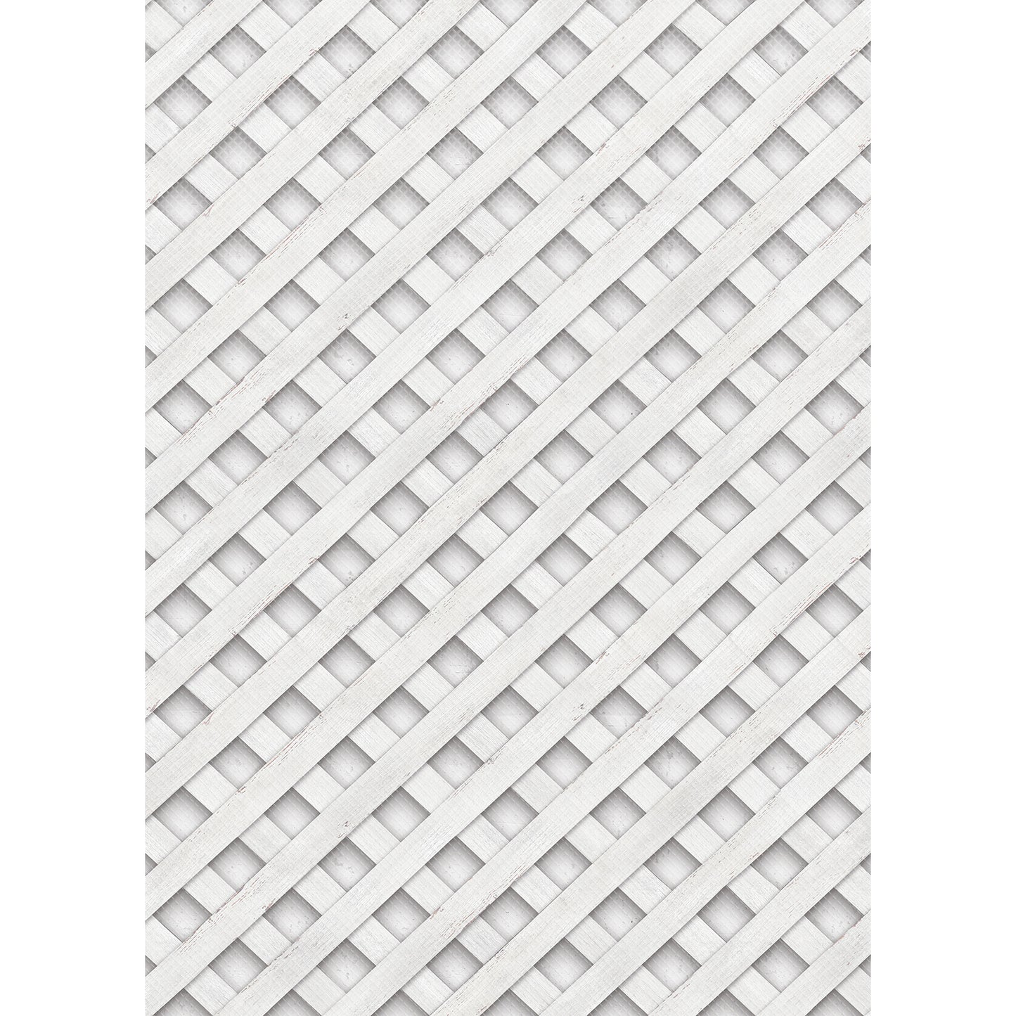 372429145.jpg