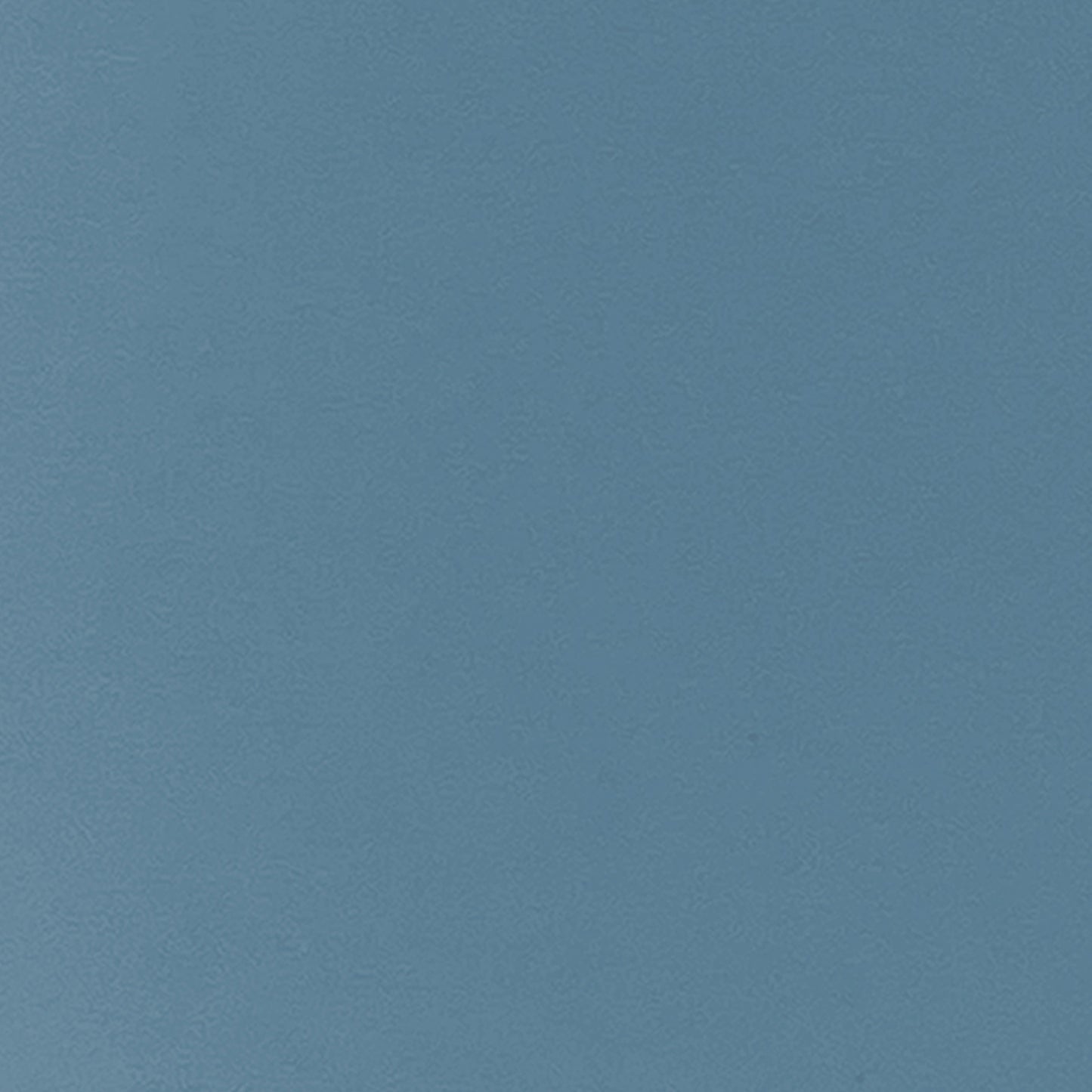 372445487.jpg