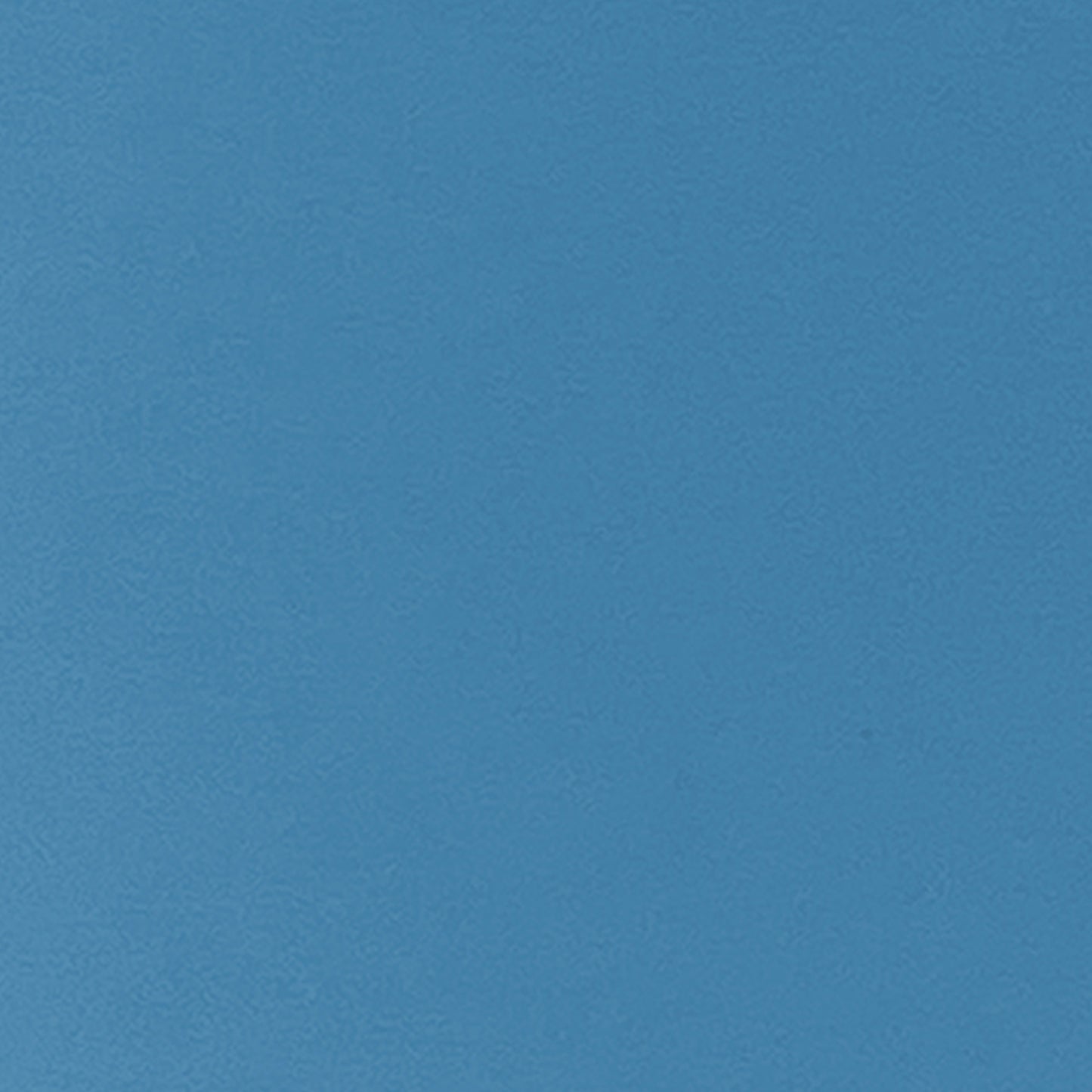 372445582.jpg