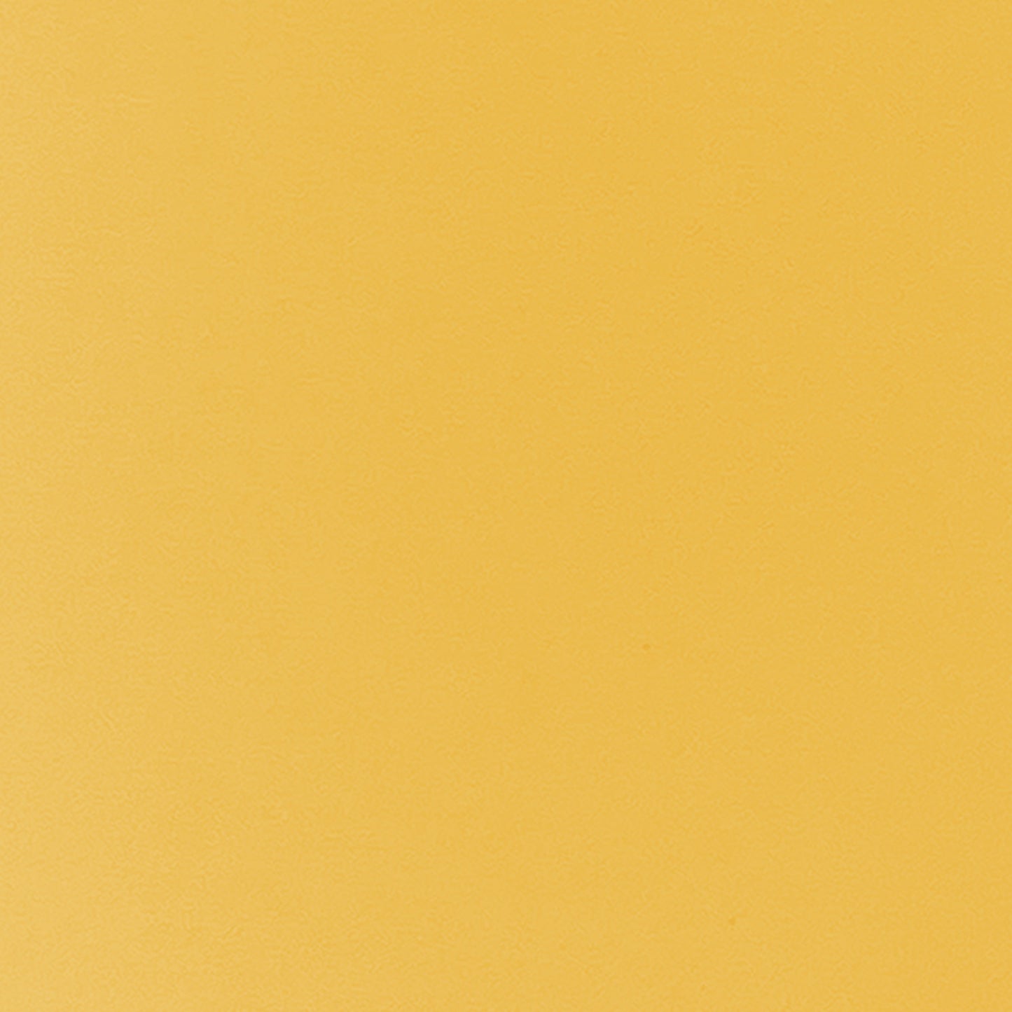 372445801.jpg