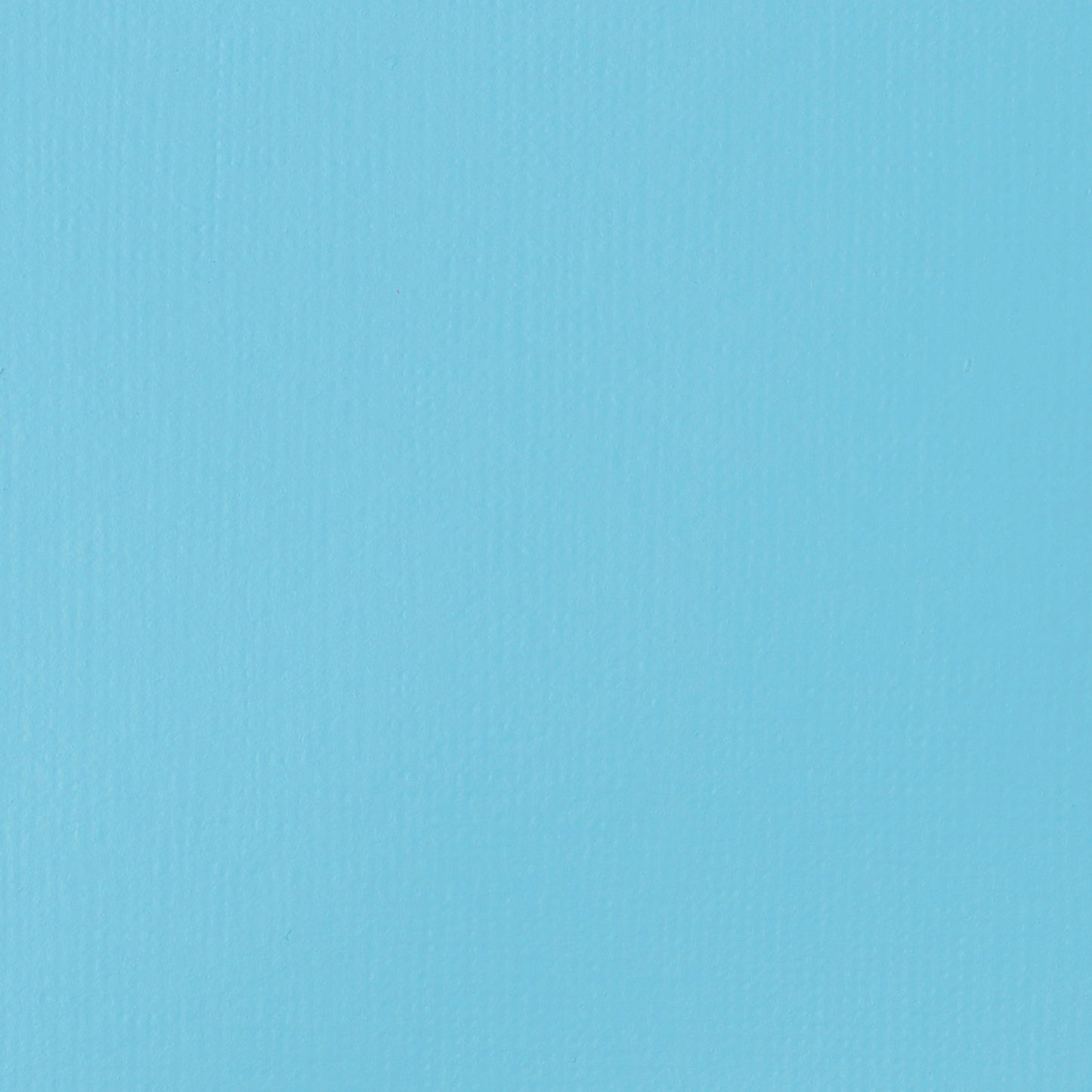 372447574.jpg