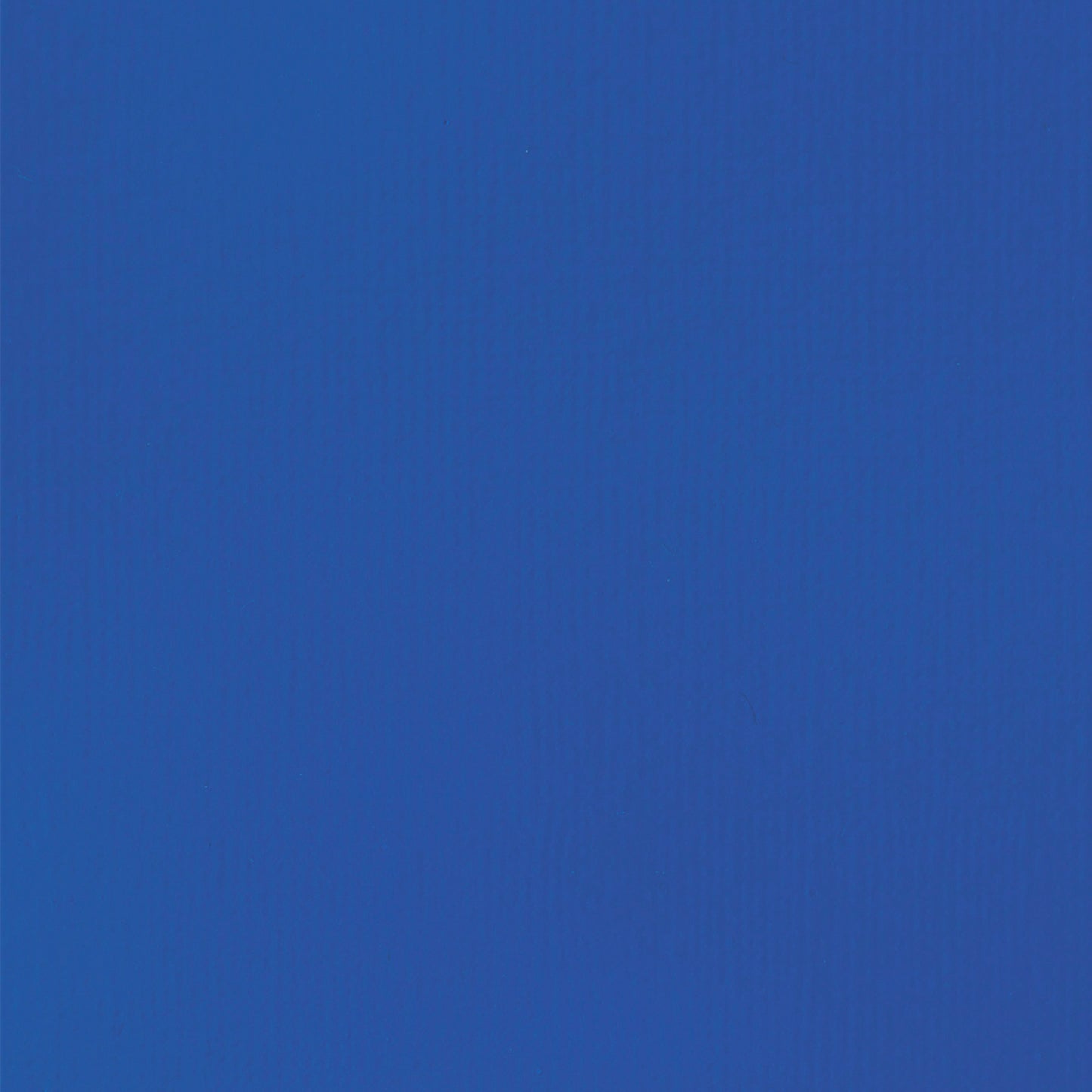 372447581.jpg