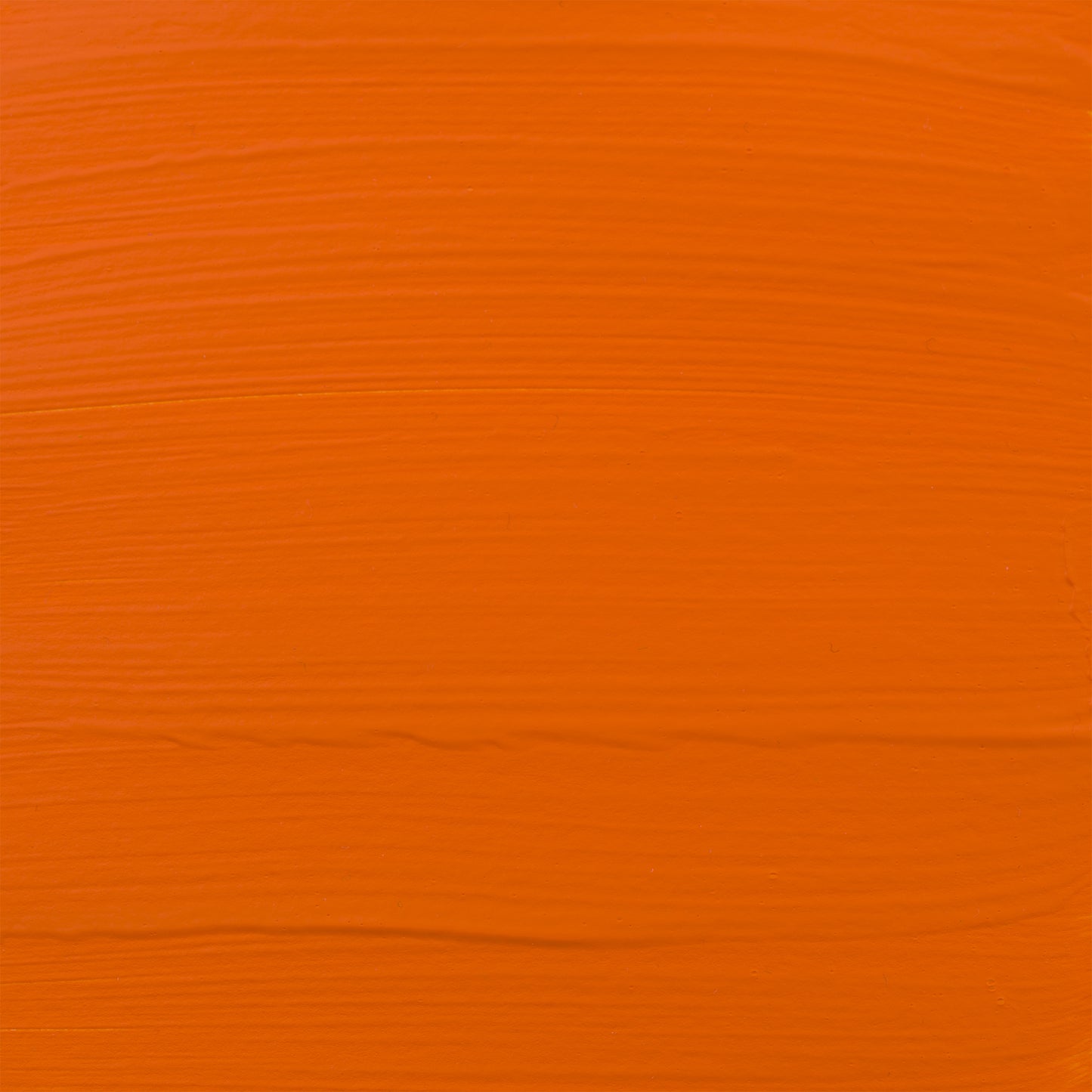 372454957.jpg