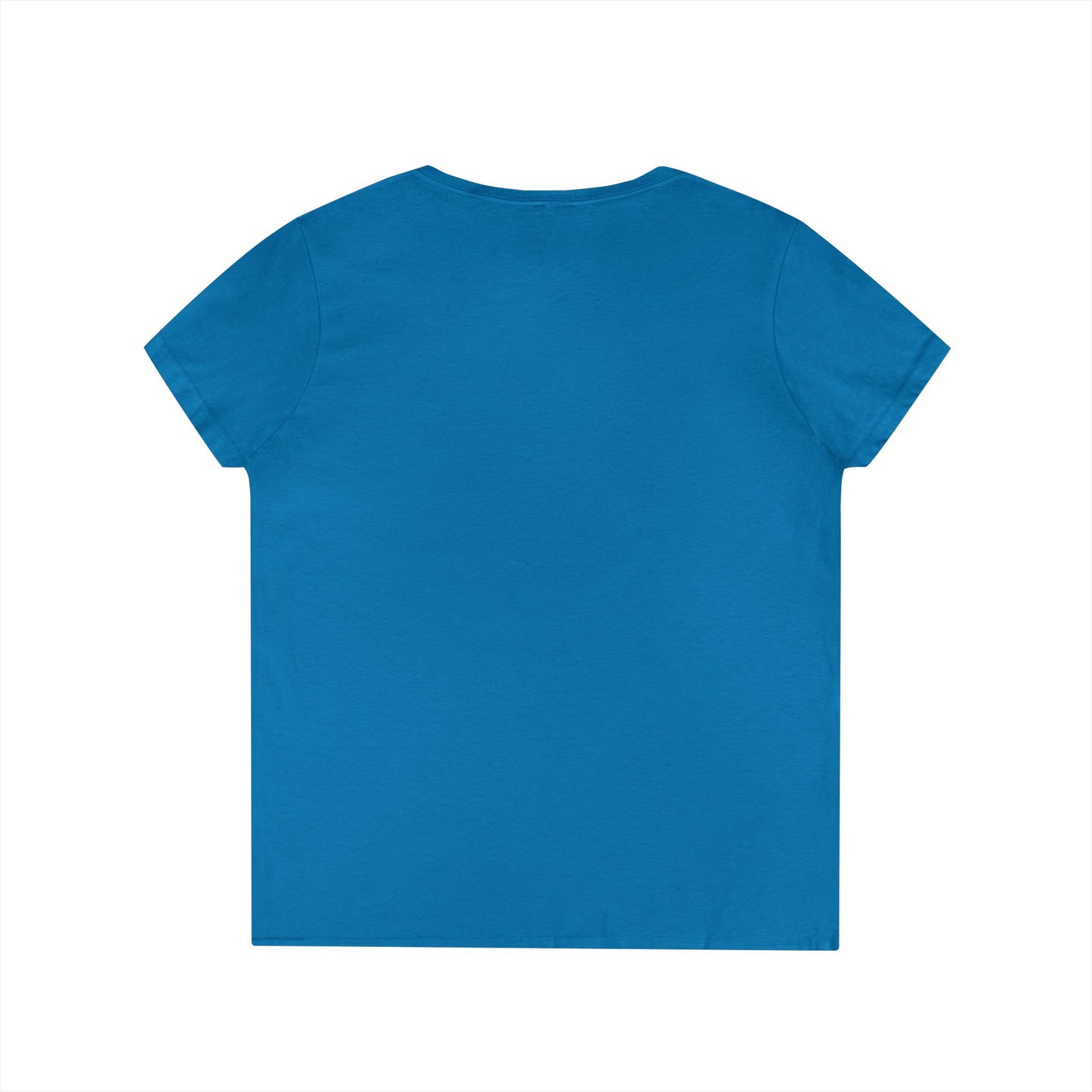 Alliance Foundation International Ladies' V-Neck T-Shirt