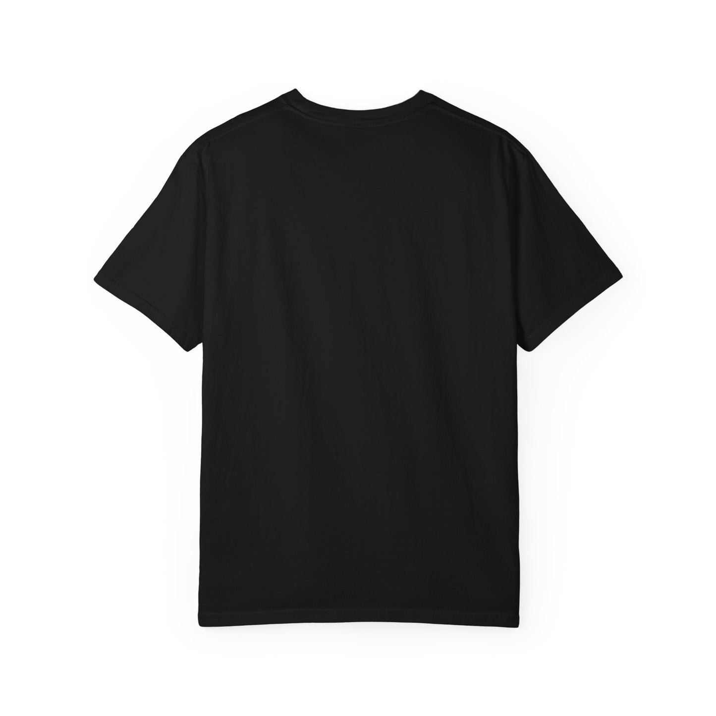 BulletProof Catch The Vision Unisex Garment-Dyed T-shirt