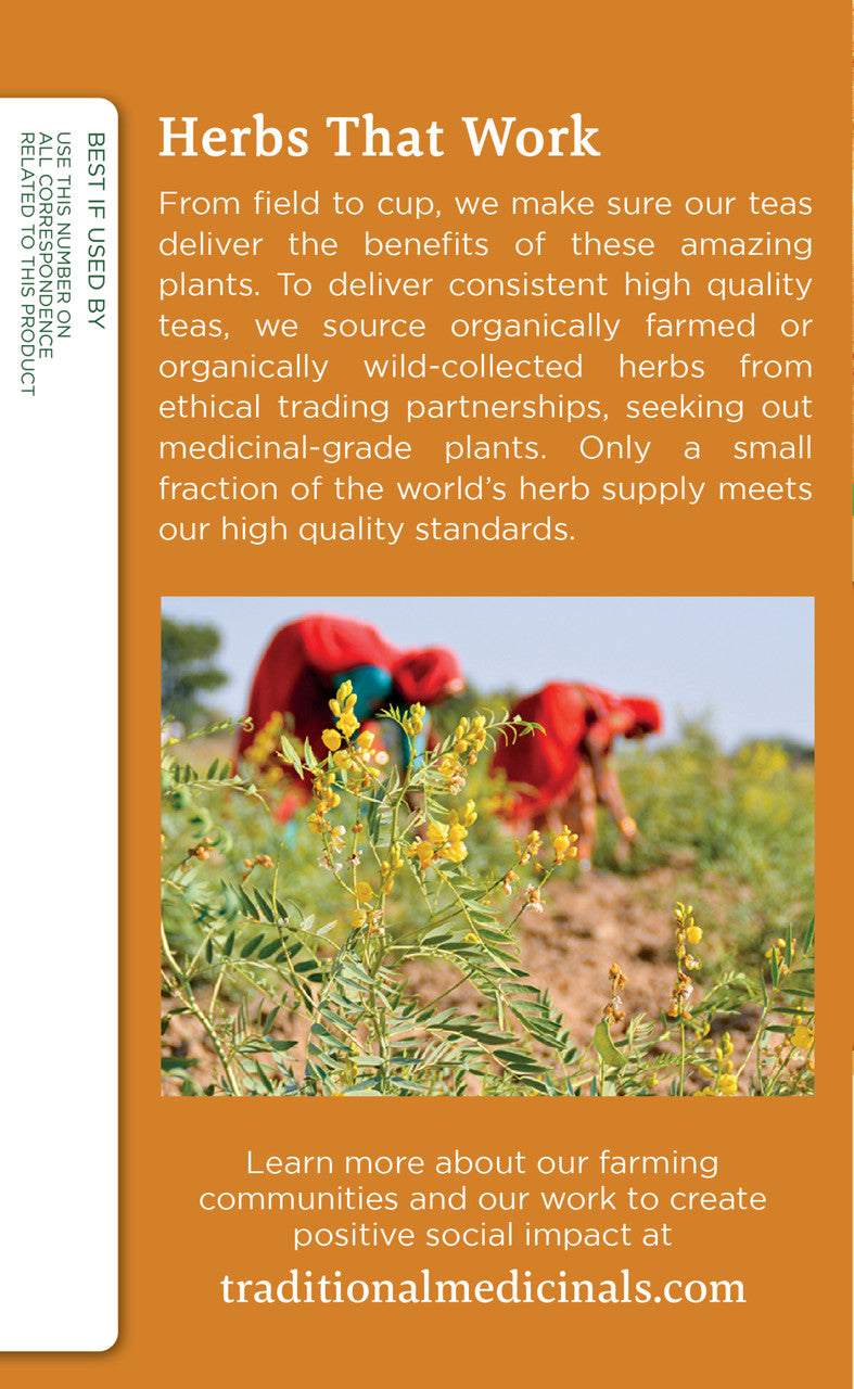 Traditional Medicinals Ginger Aid Herb Tea (6x16 Bag)