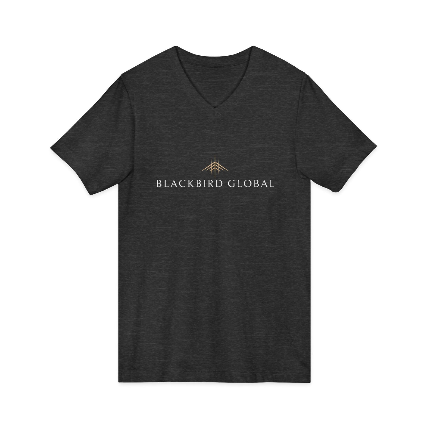 Blackbird Global Unisex Jersey Short Sleeve V-Neck Tee