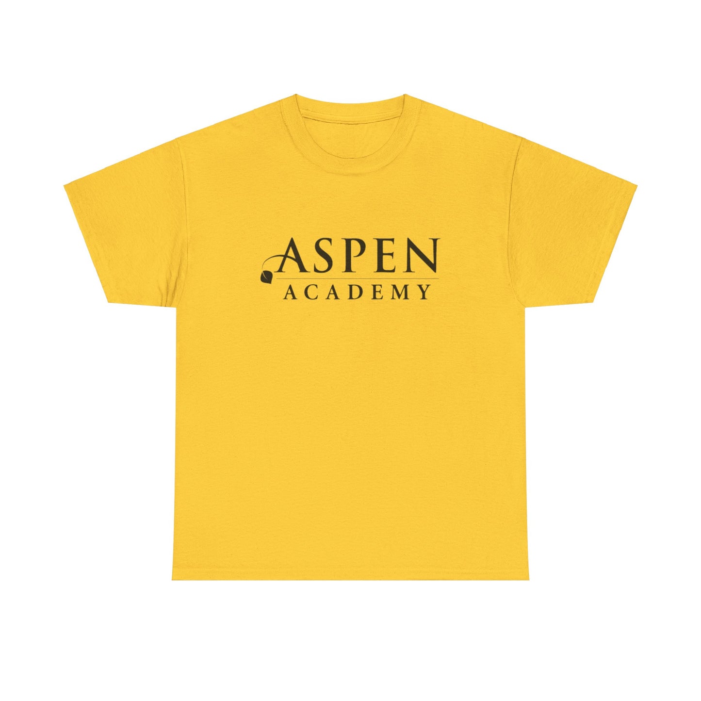 Aspen Academy Unisex Heavy Cotton Tee