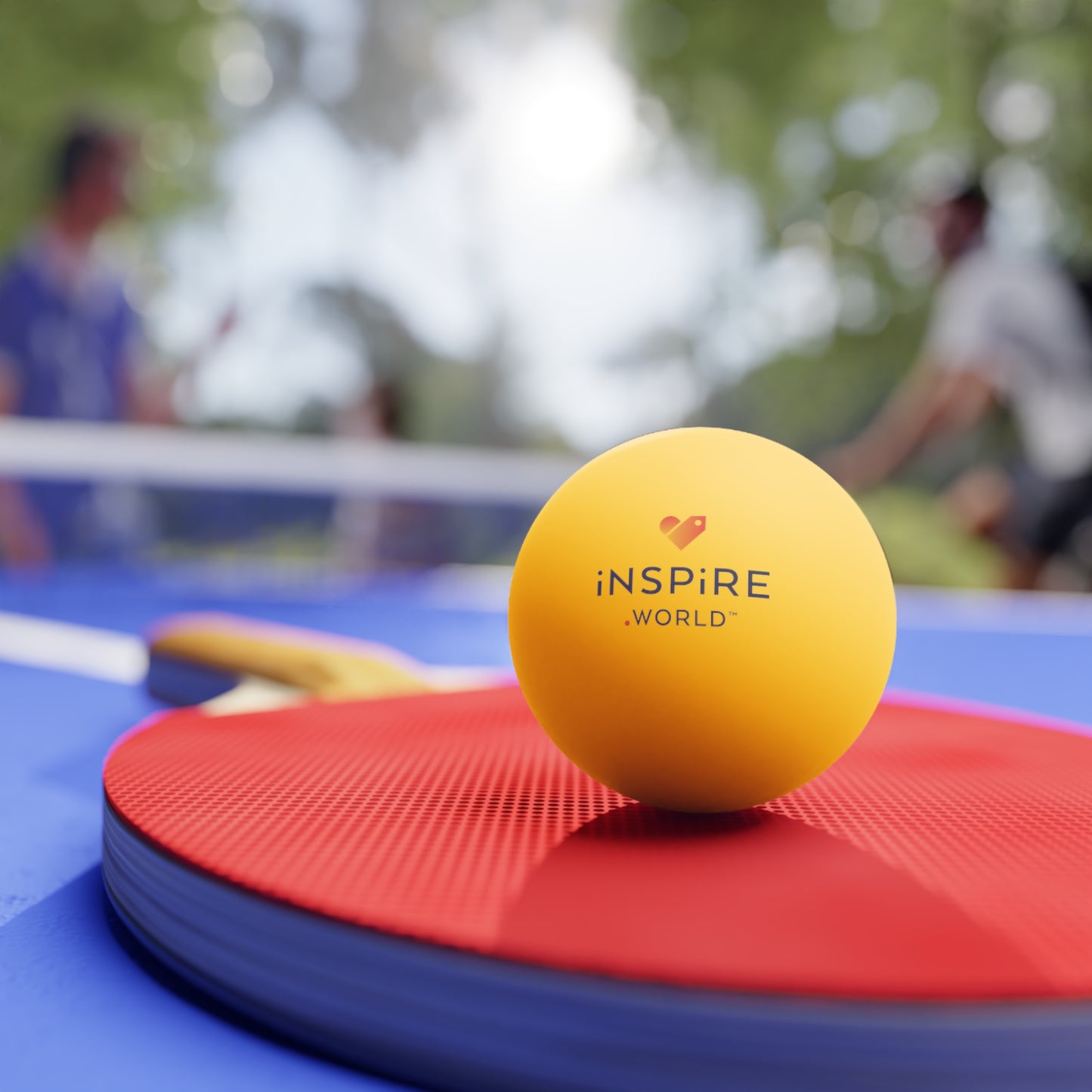 Inspire.World Ping Pong Balls, 6 pcs