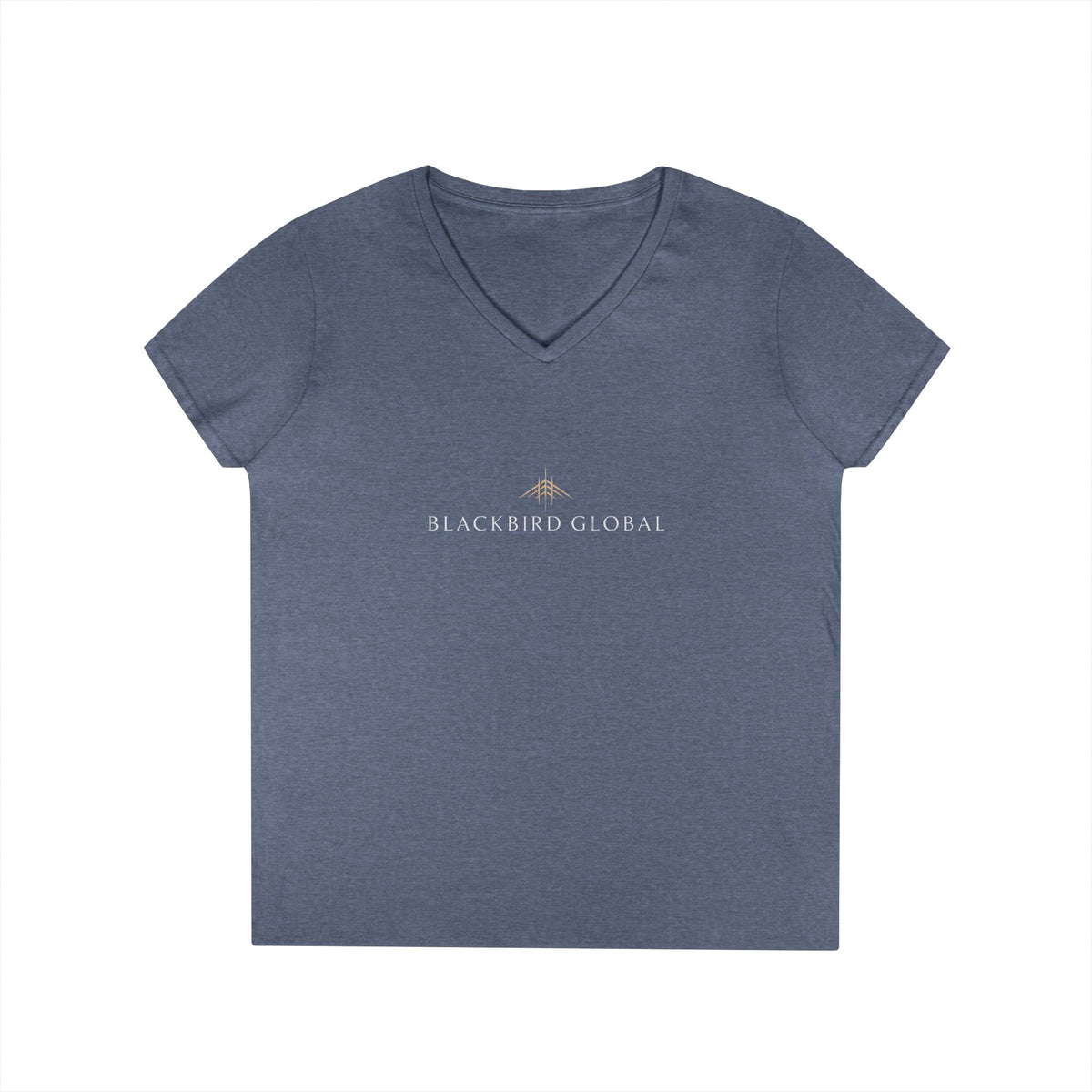 Blackbird Global Ladies' V-Neck T-Shirt