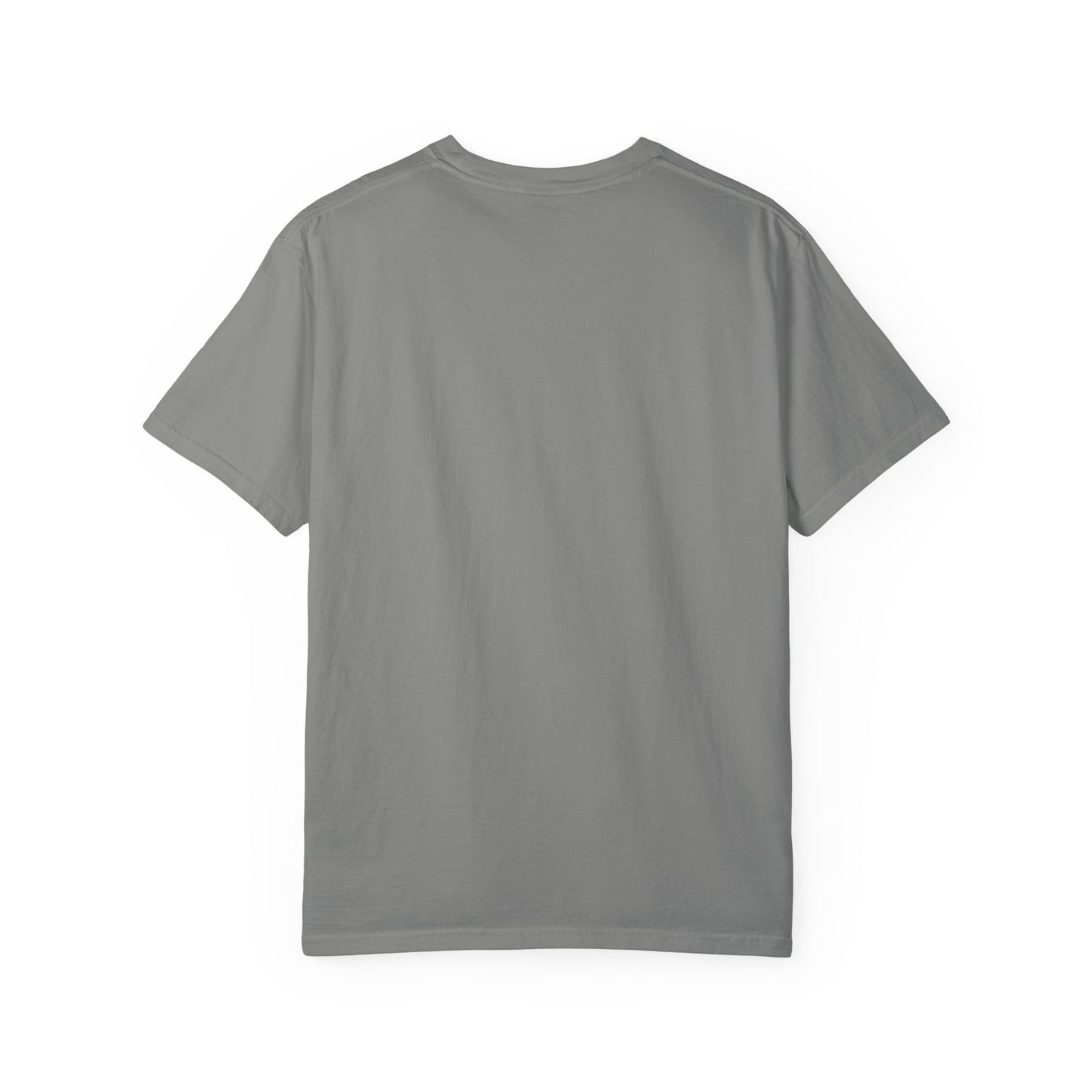 Alliance Foundation International Unisex Garment-Dyed T-shirt