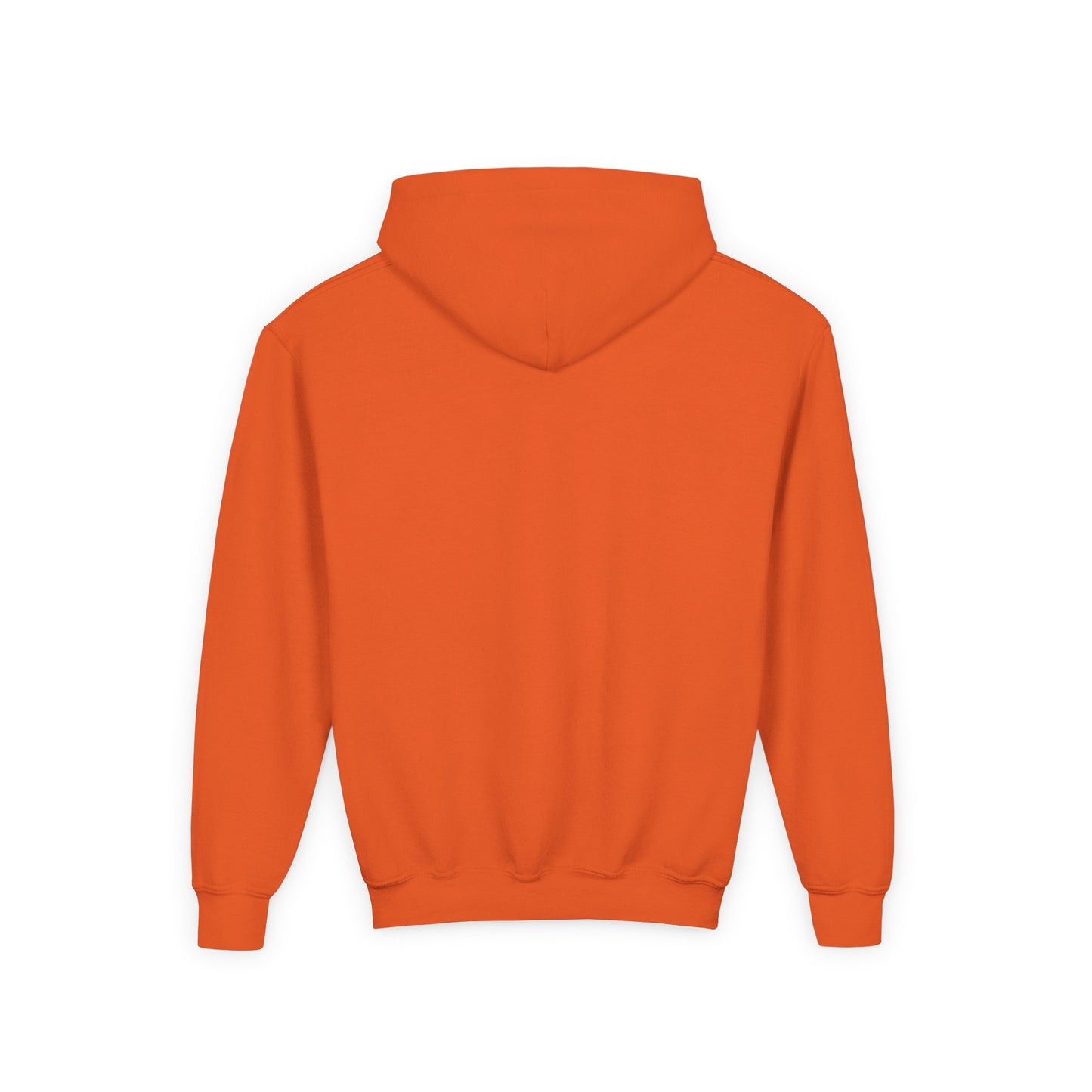 Alliance Foundation International Youth Heavy Blend Hooded Sweatshirt