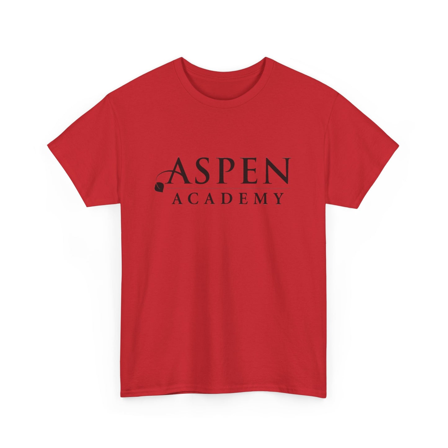 Aspen Academy Unisex Heavy Cotton Tee