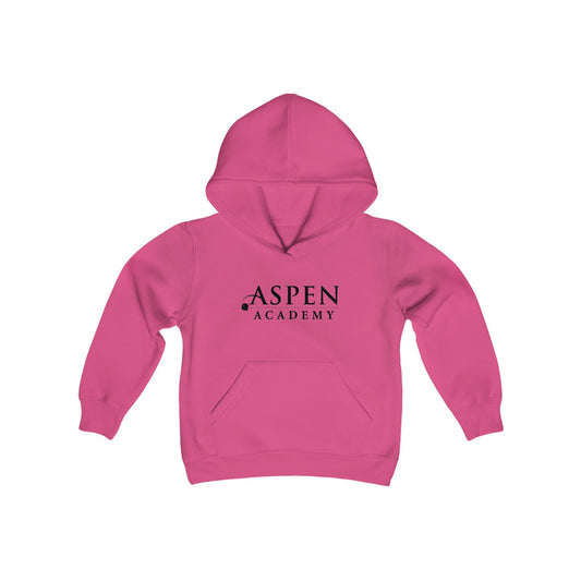 Aspen Academy Youth Heavy Blend Hooded Sweatshirt