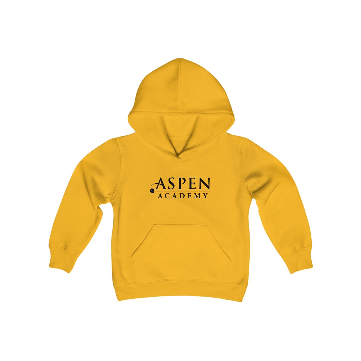 Aspen Academy Youth Heavy Blend Hooded Sweatshirt