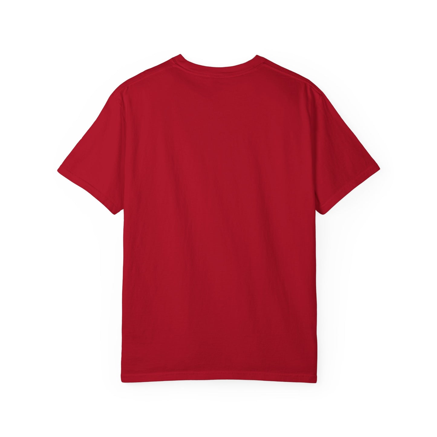 APPLE Accreditation Unisex Garment-Dyed T-shirt