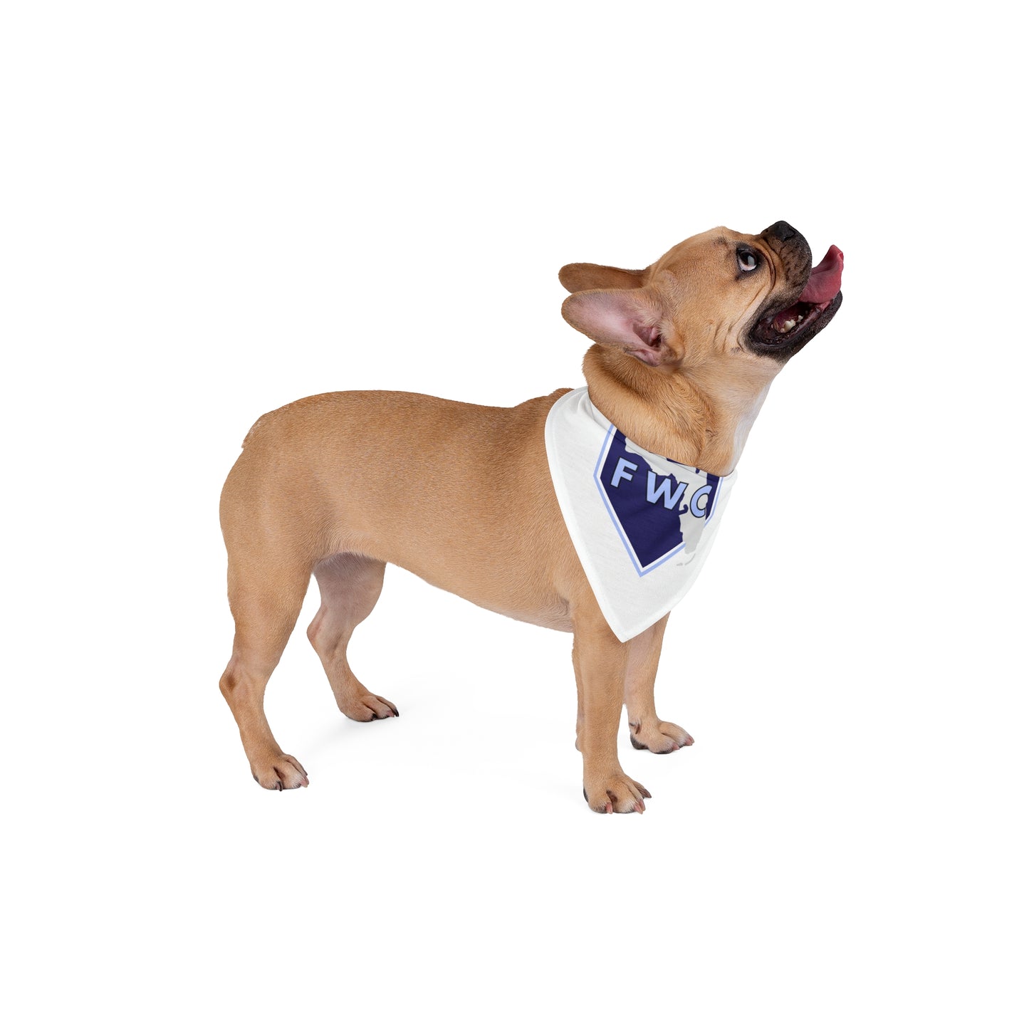 WFL Thunder Pet Bandana