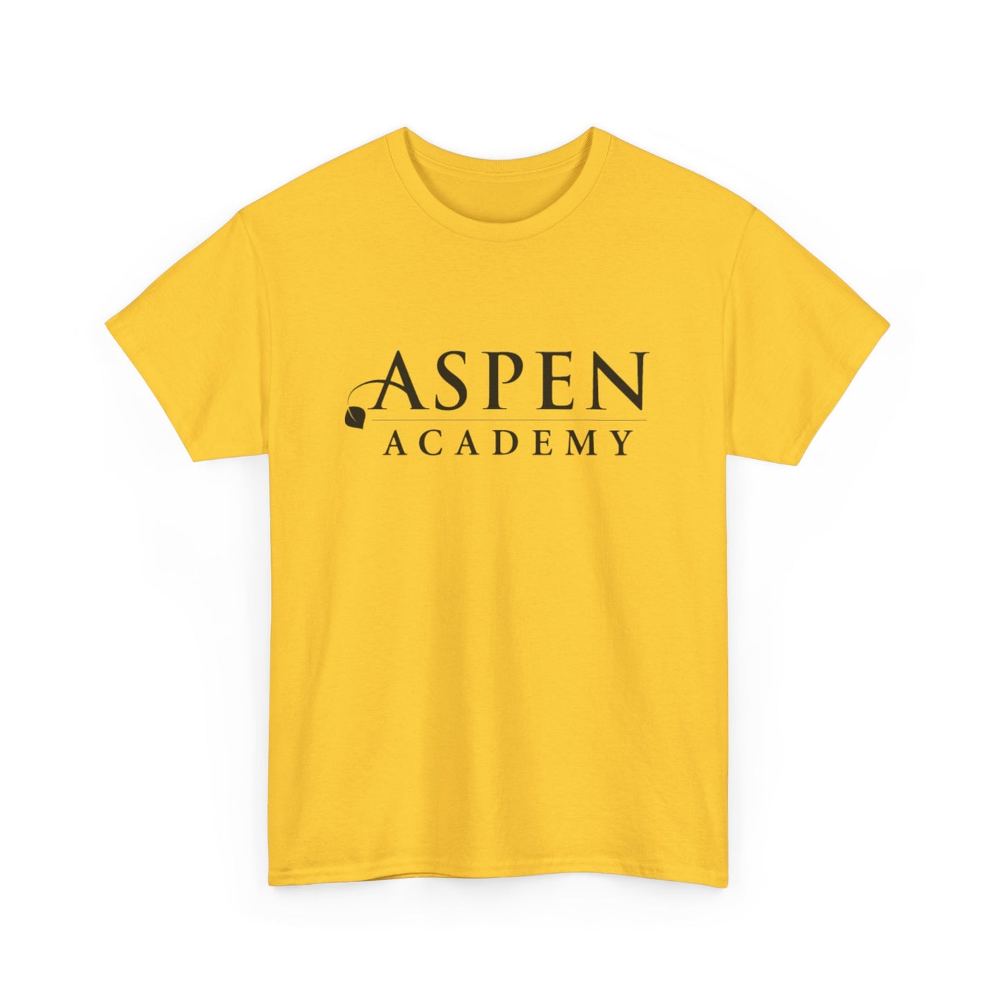 Aspen Academy Unisex Heavy Cotton Tee