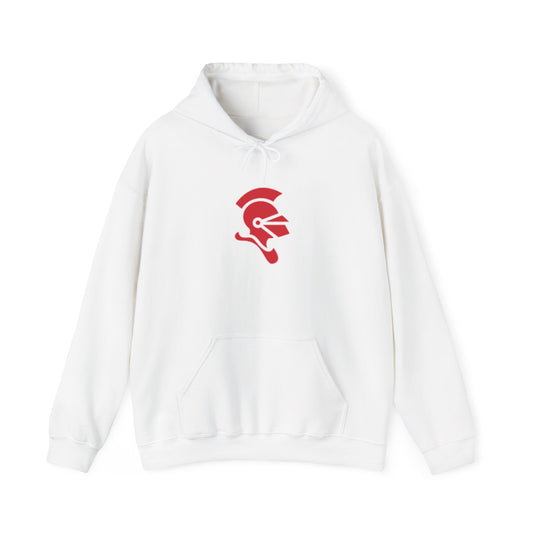 BSM Boys Soccer Unisex Heavy Blend™ Hooded Sweatshirt