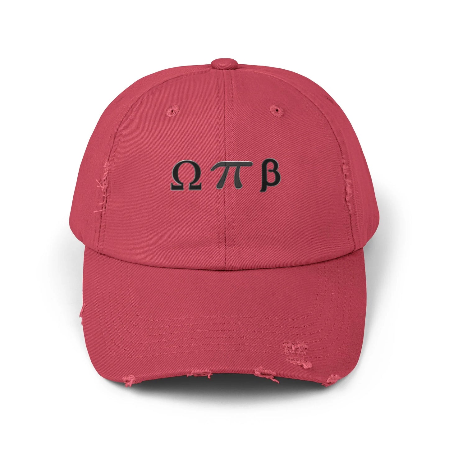 Greek Life Unisex Distressed Cap