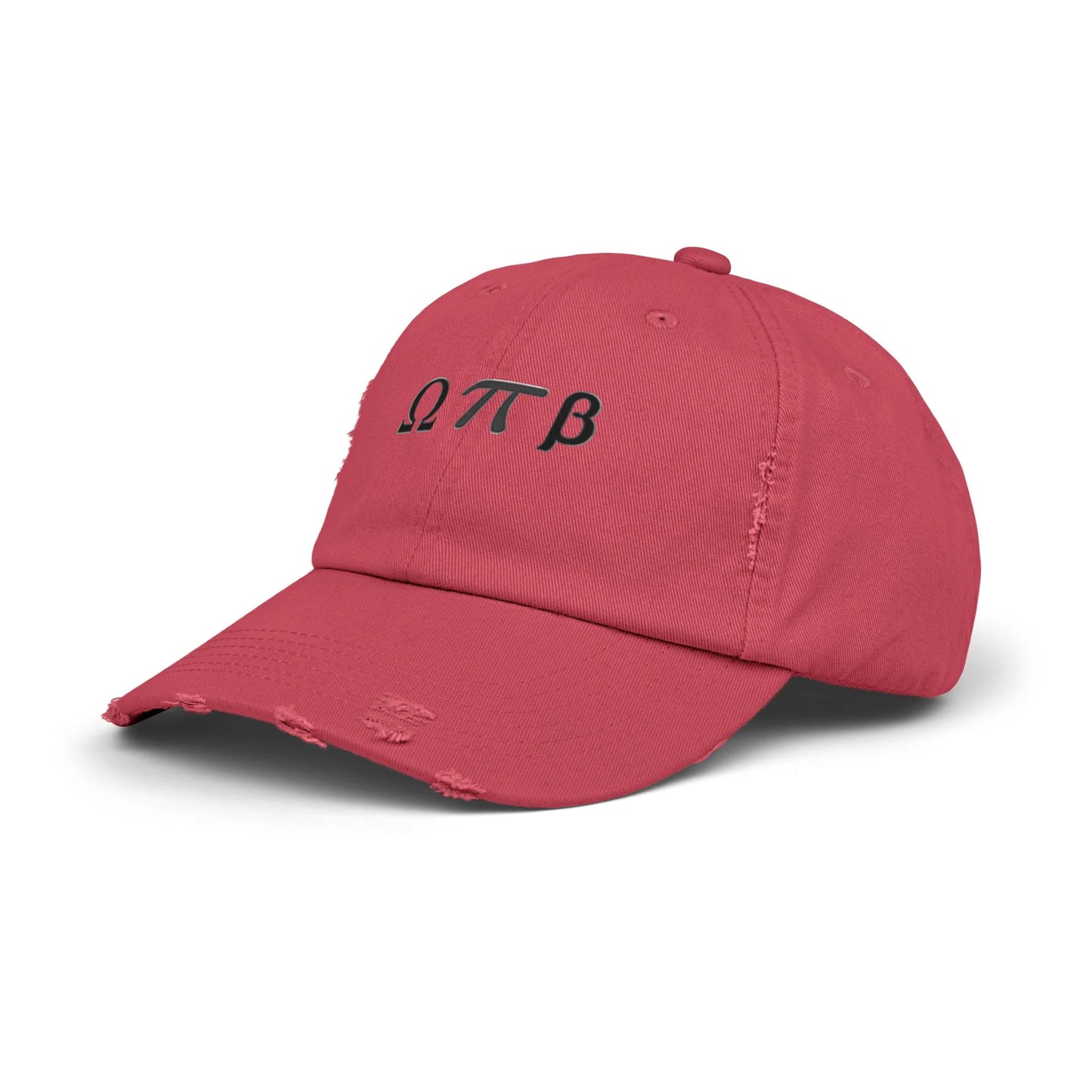 Greek Life Unisex Distressed Cap