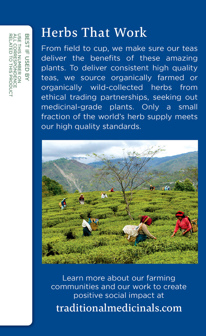 Traditional Medicinals Nighty Night Herb Tea (6x16 Bag)