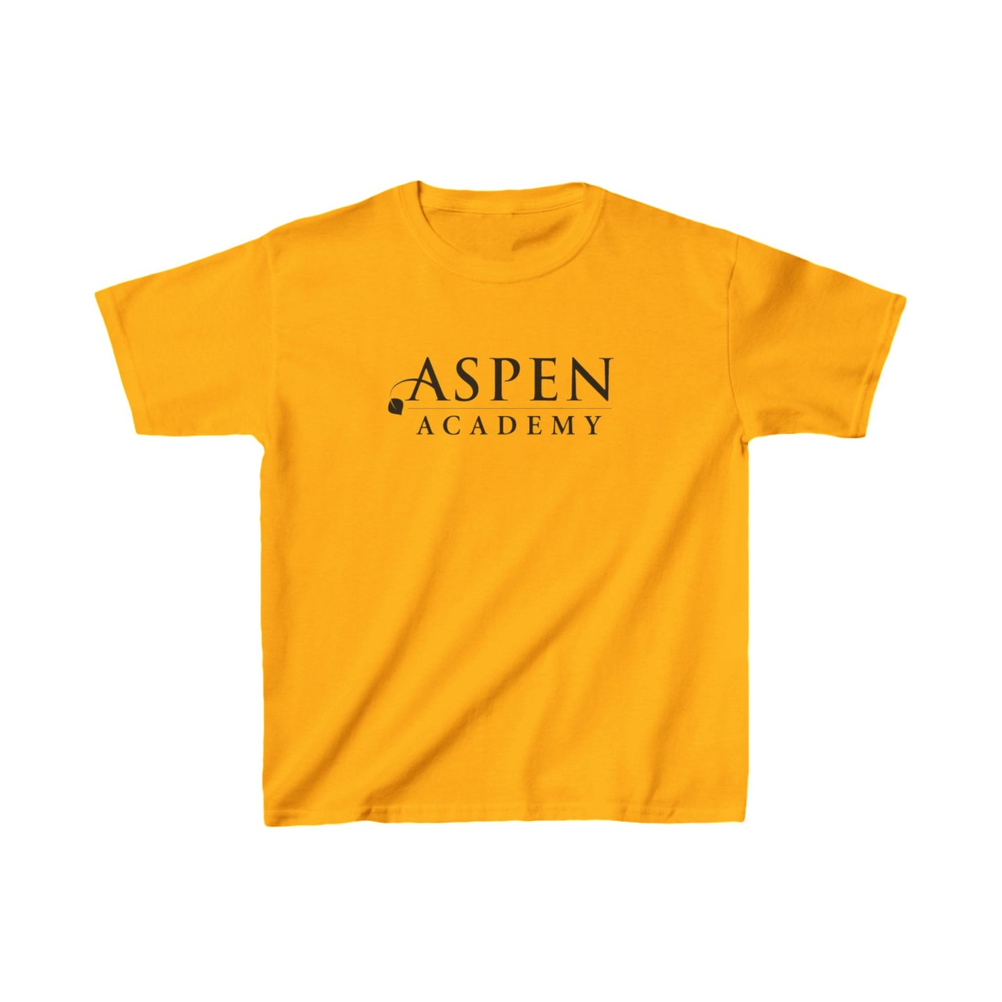 Aspen Academy Kids Heavy Cotton™ Tee