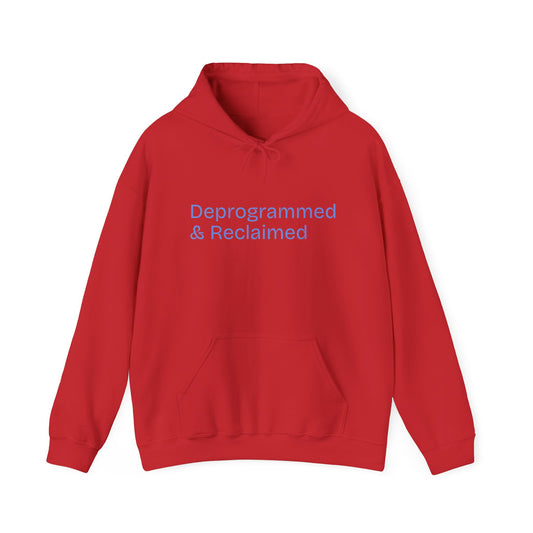 Liberated Consciousness Unisex Heavy Blend™ Hooded Sweatshirt