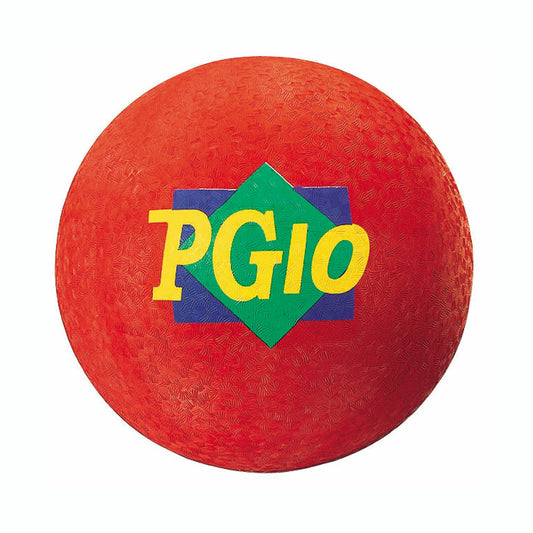 309622229.jpg