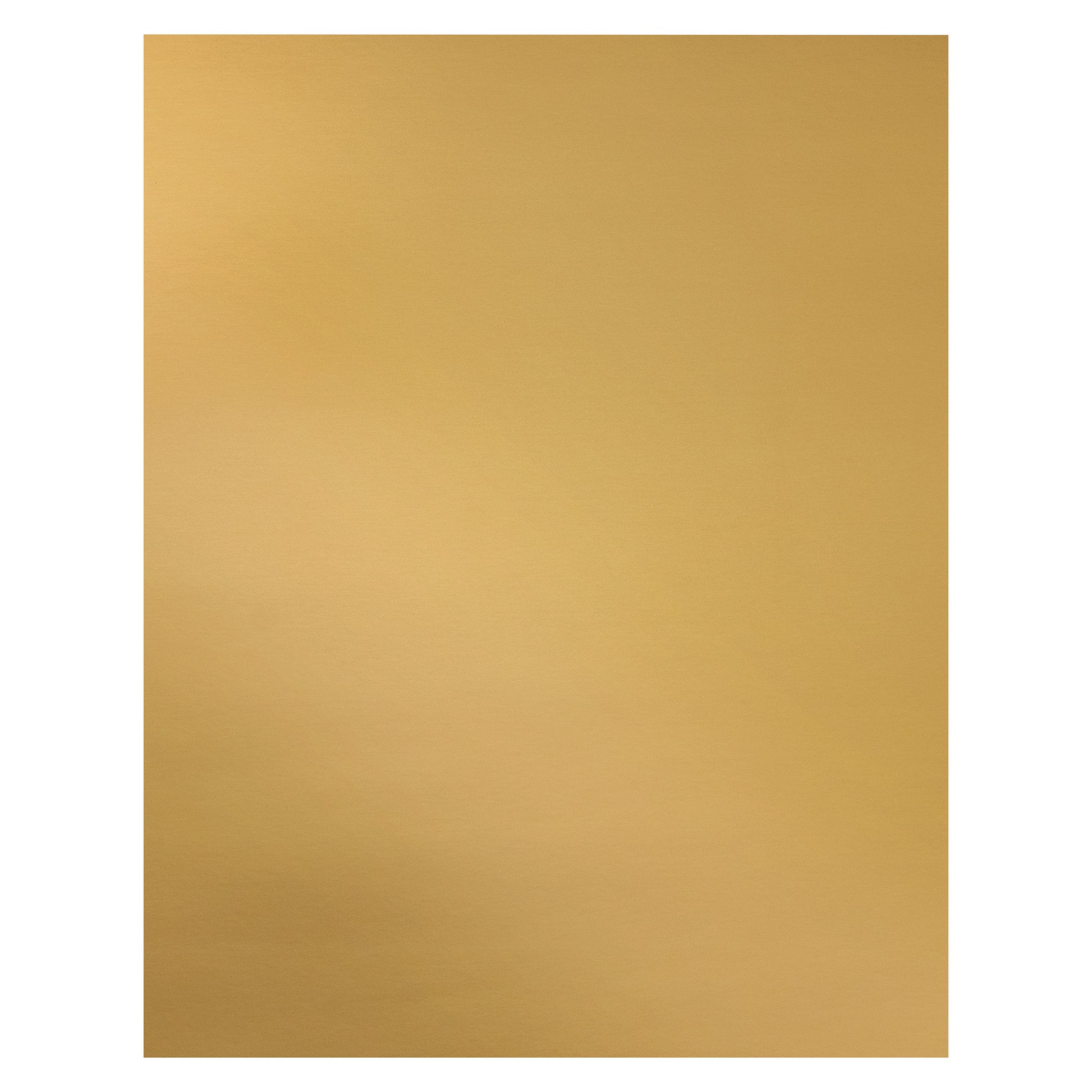 309623484.jpg