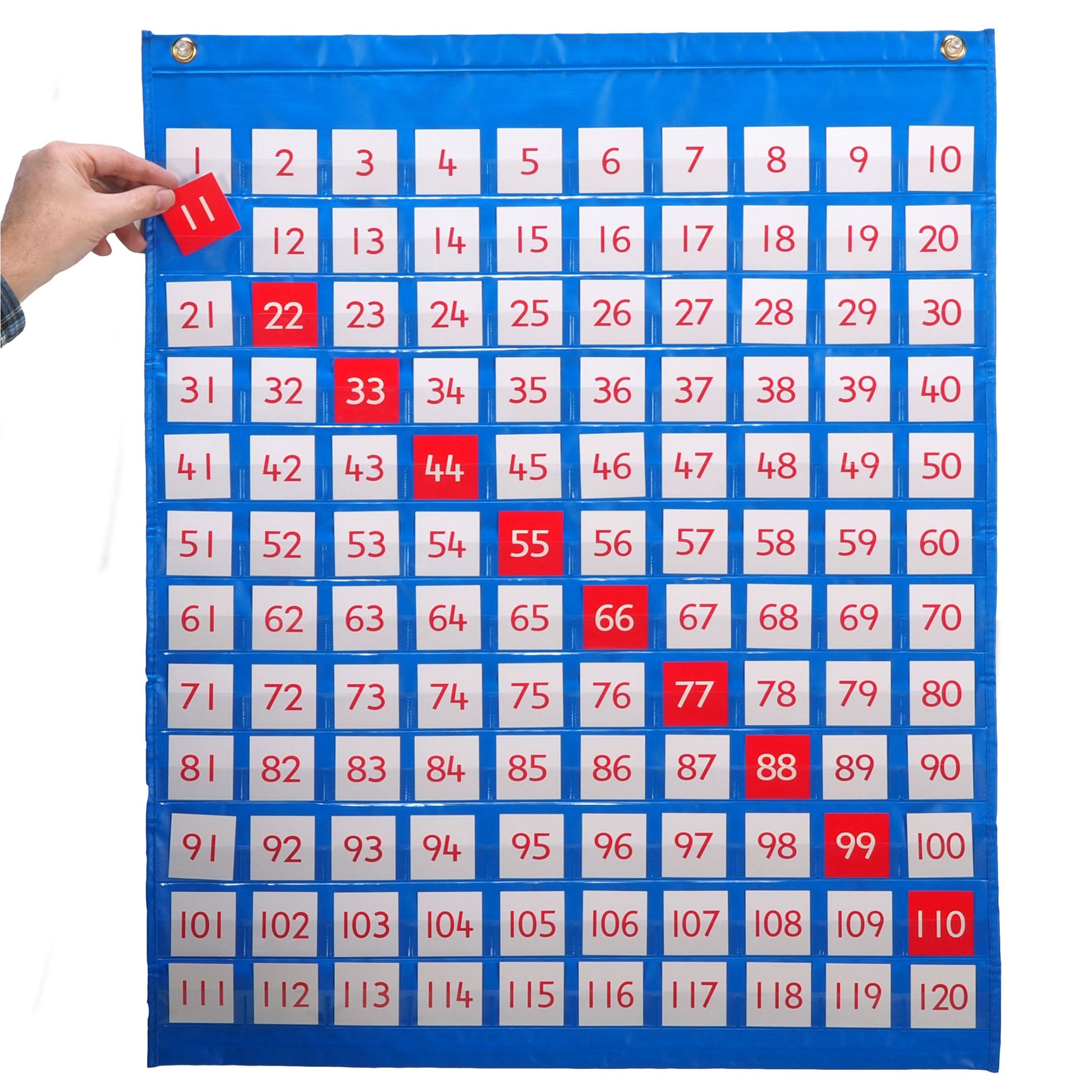 309624048.jpg