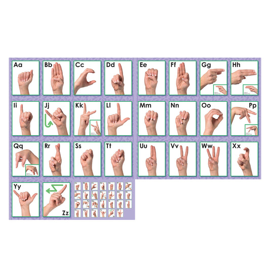 309624727.jpg