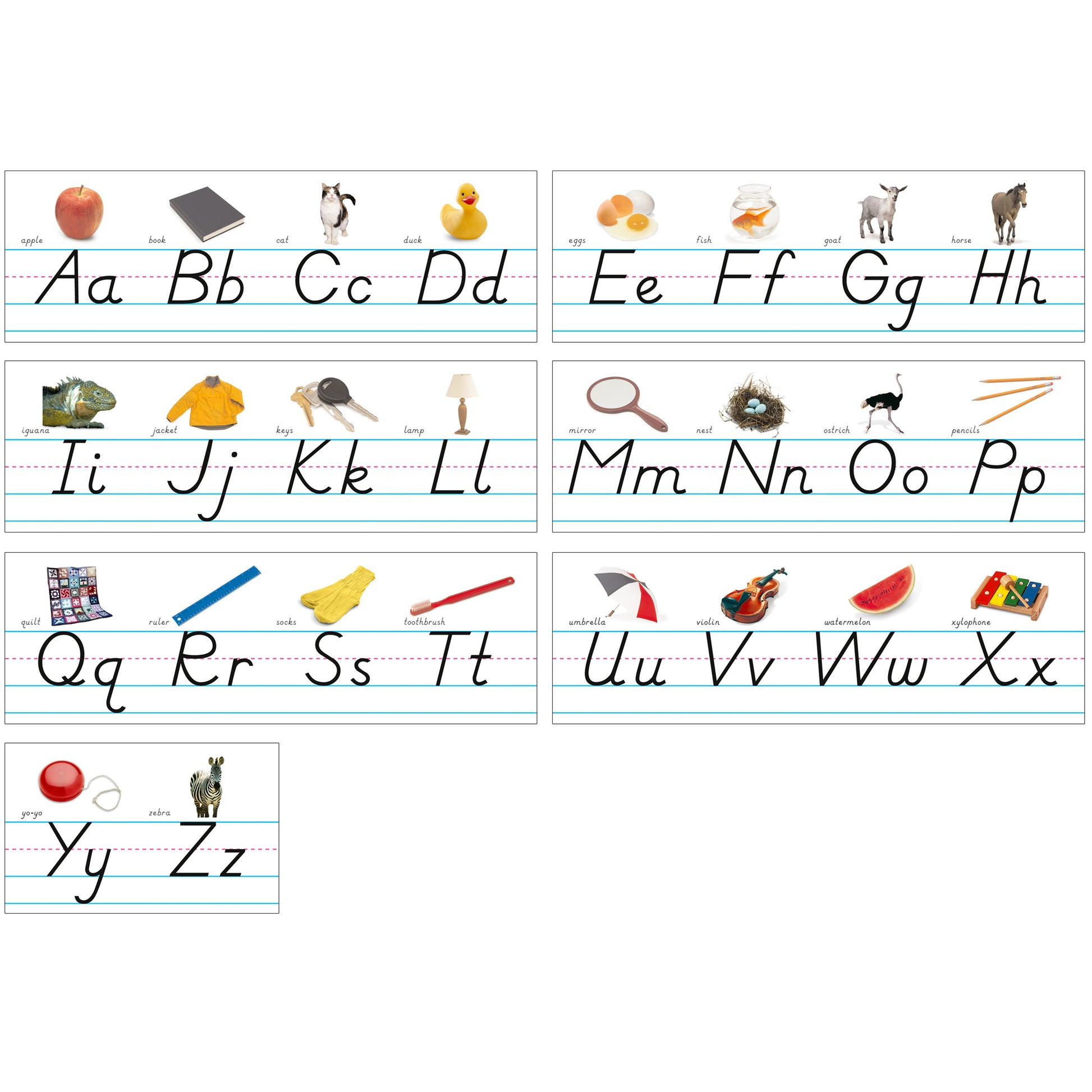 309624838.jpg
