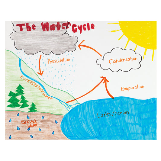 309624924.jpg
