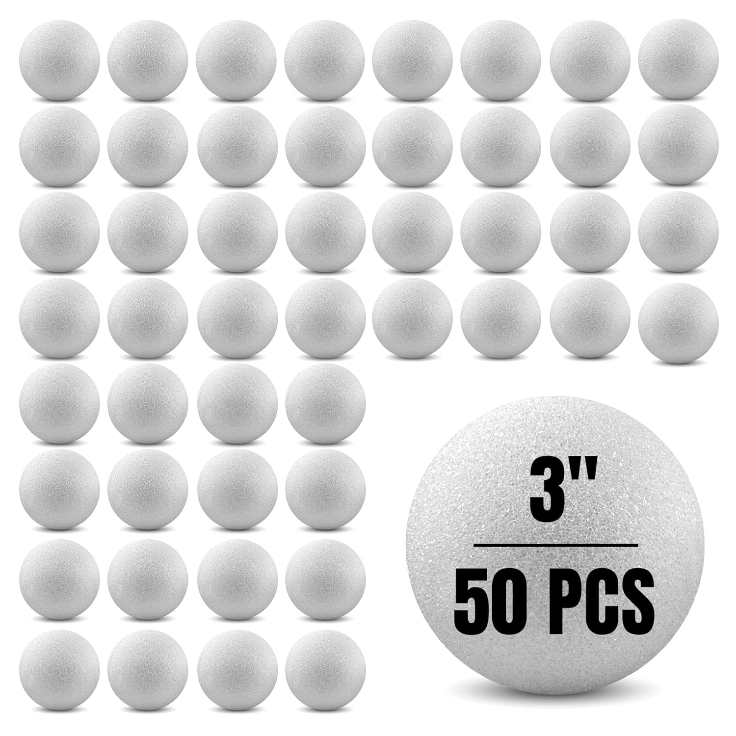 309625010.jpg