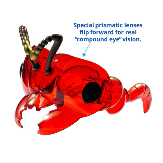 309625166.jpg