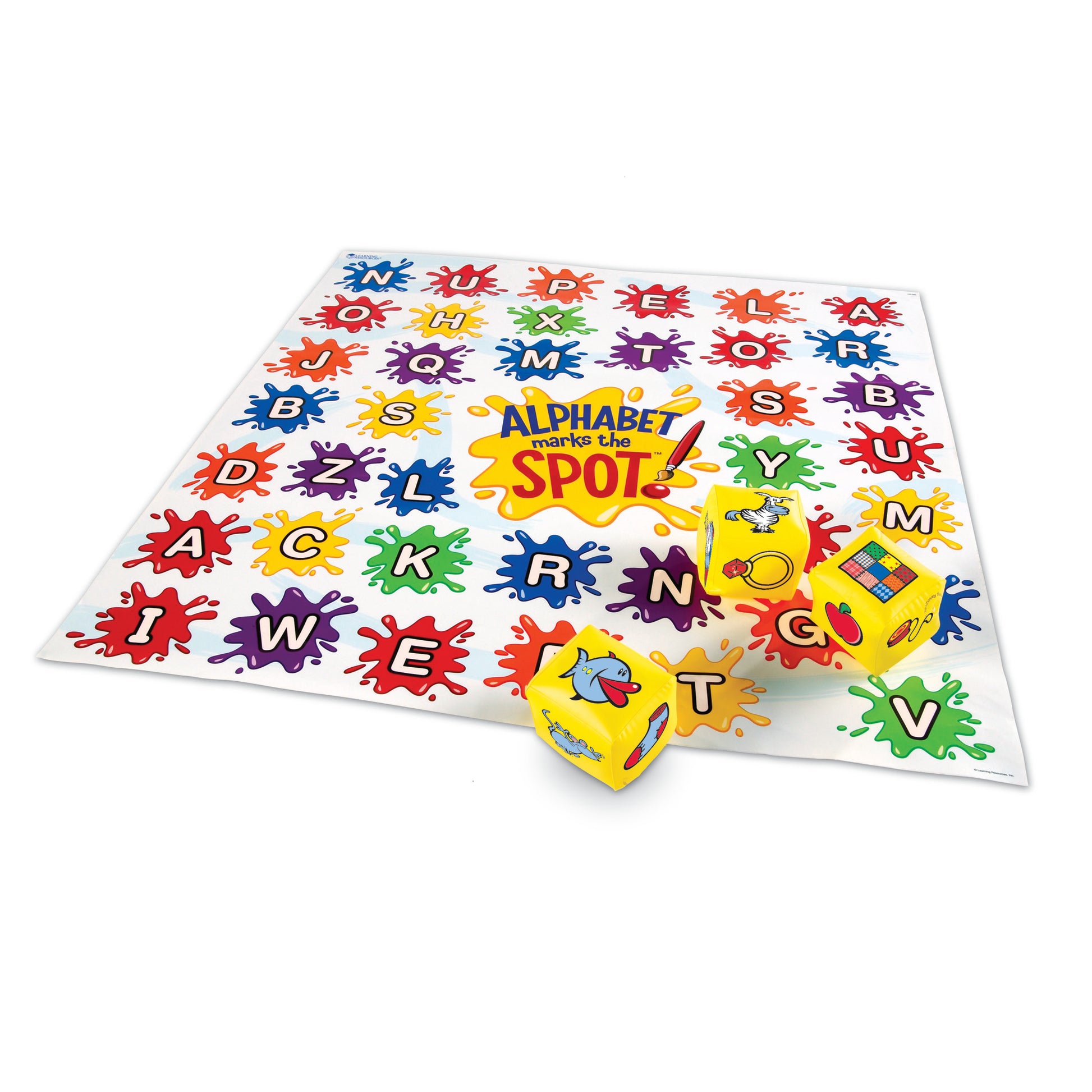 309625276.jpg