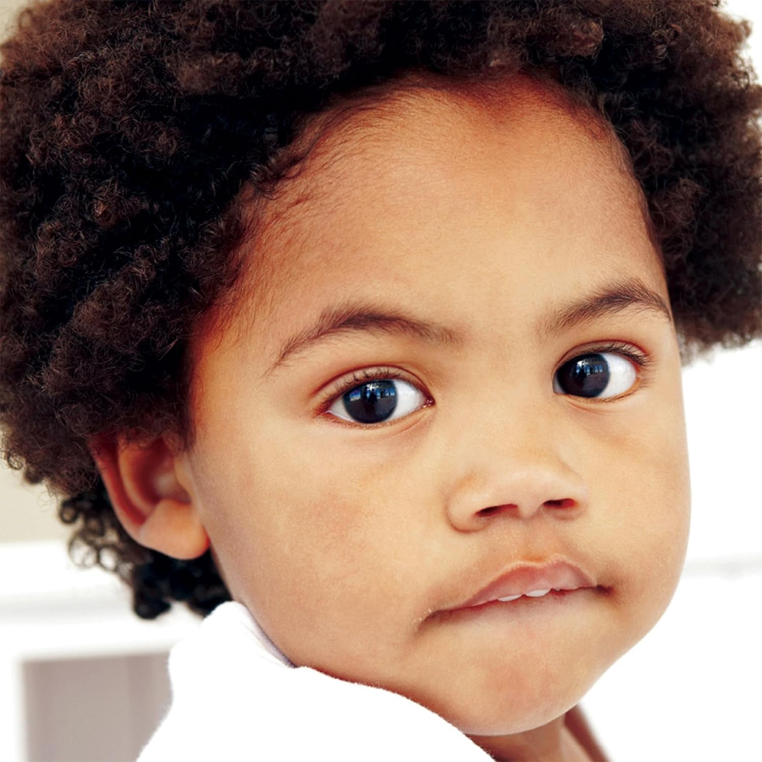 309625931.jpg