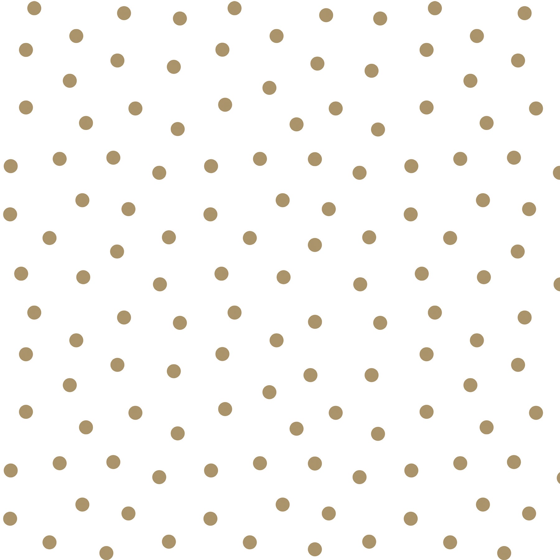 309626306.jpg