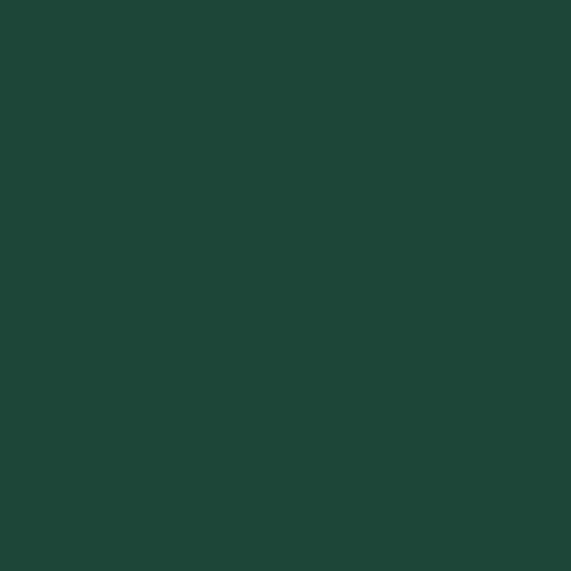 309626355.jpg