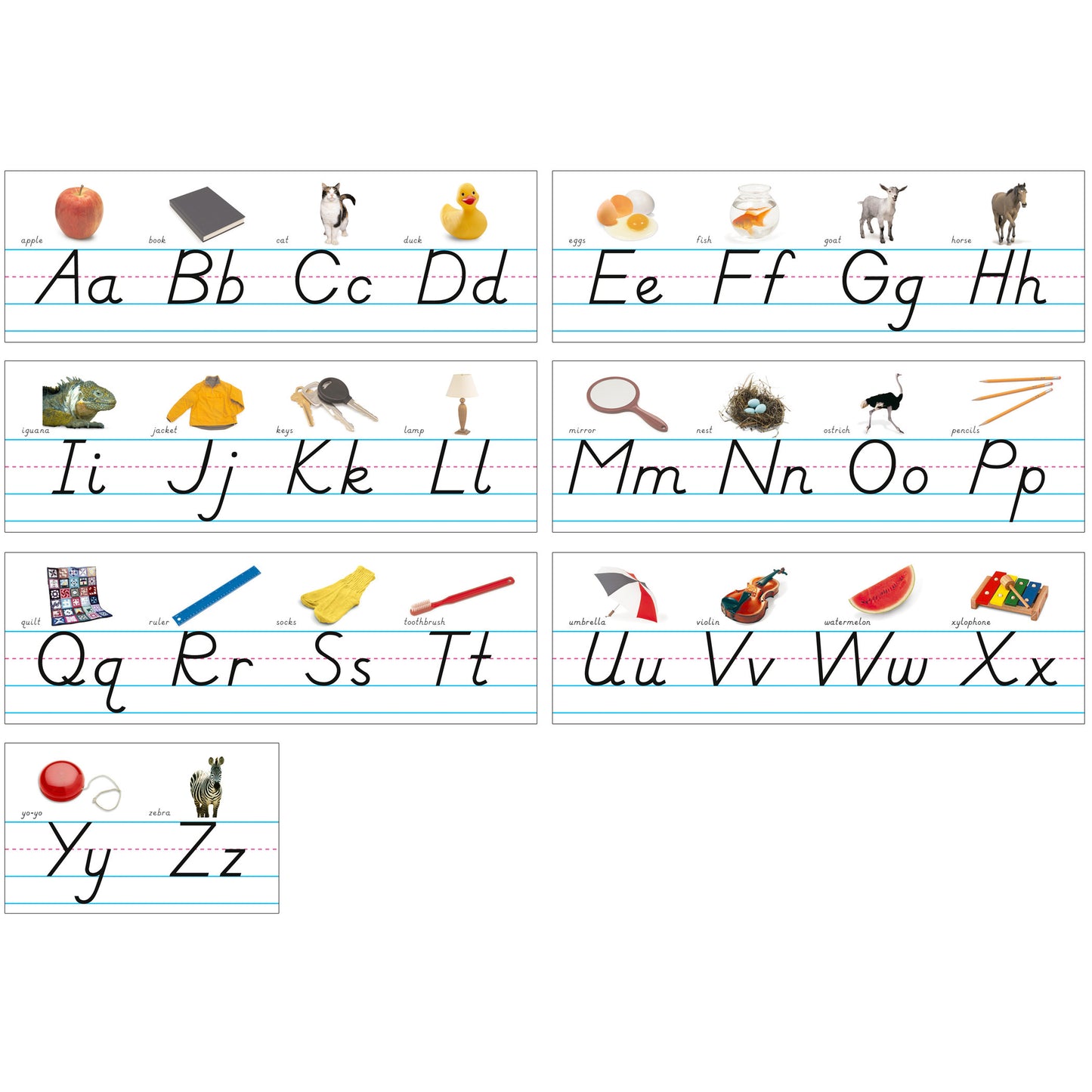 309626787.jpg