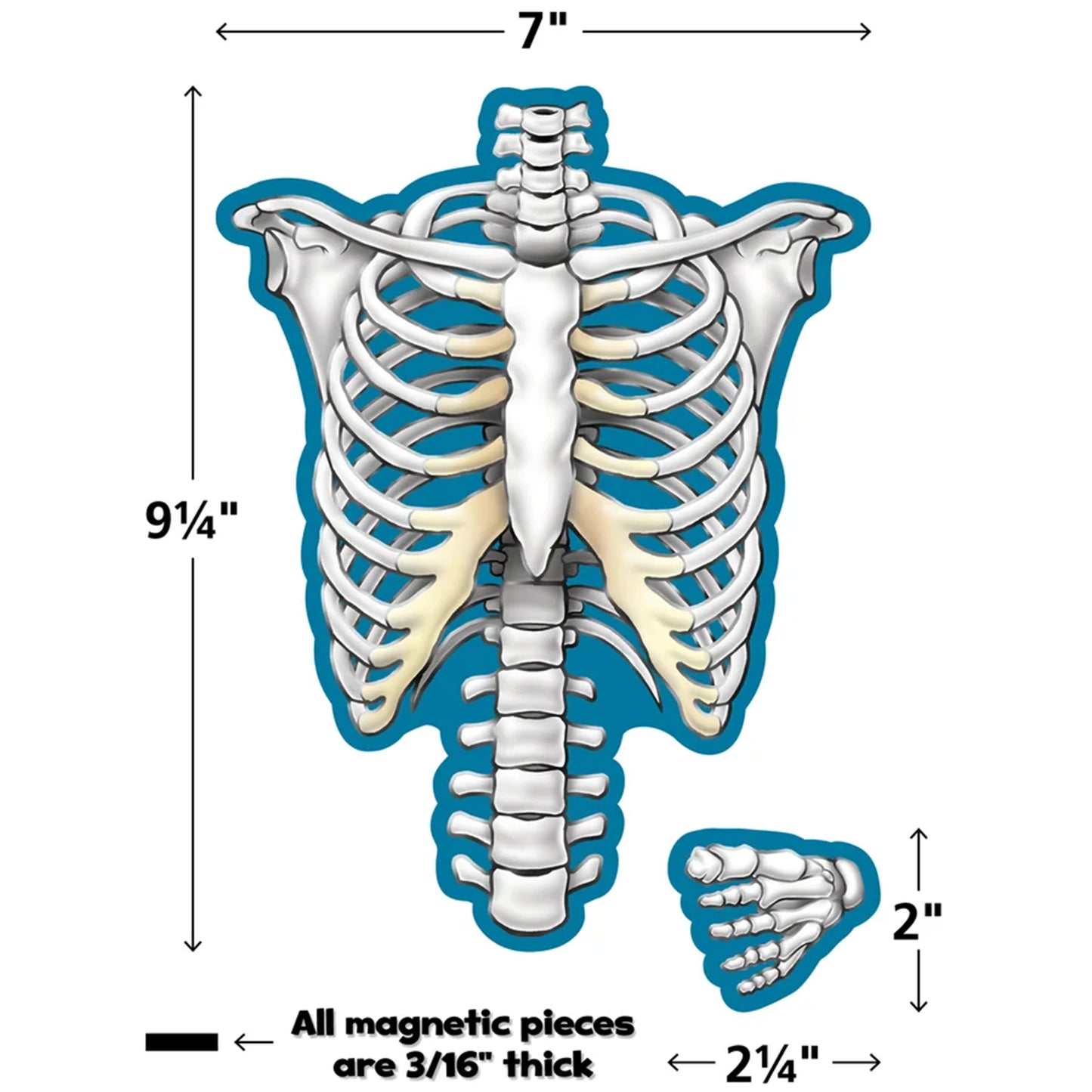 309627689.jpg