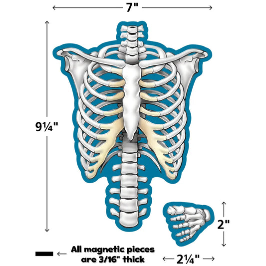 309627689.jpg